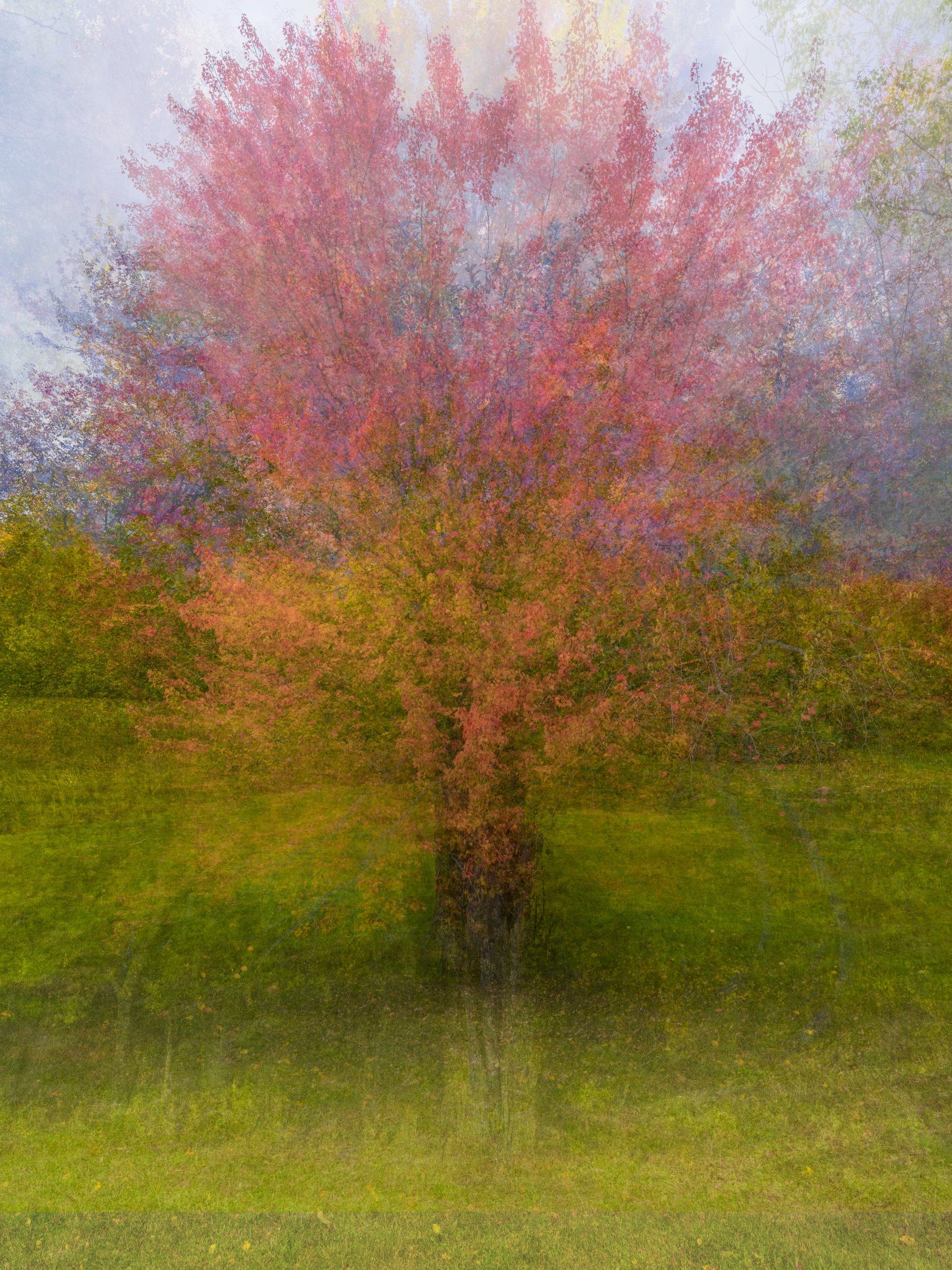 Autumn's Embrace