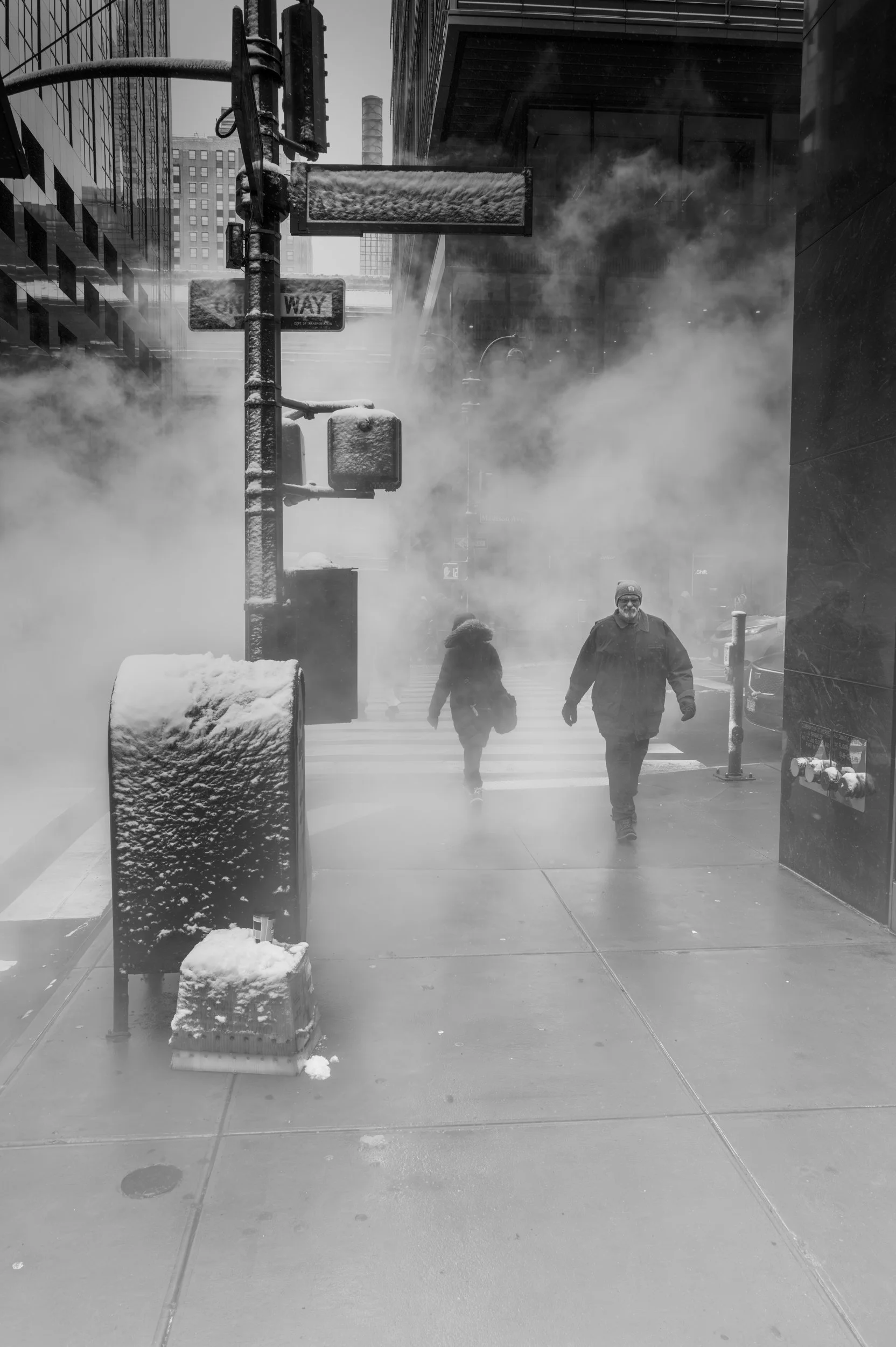 Out of the Mist