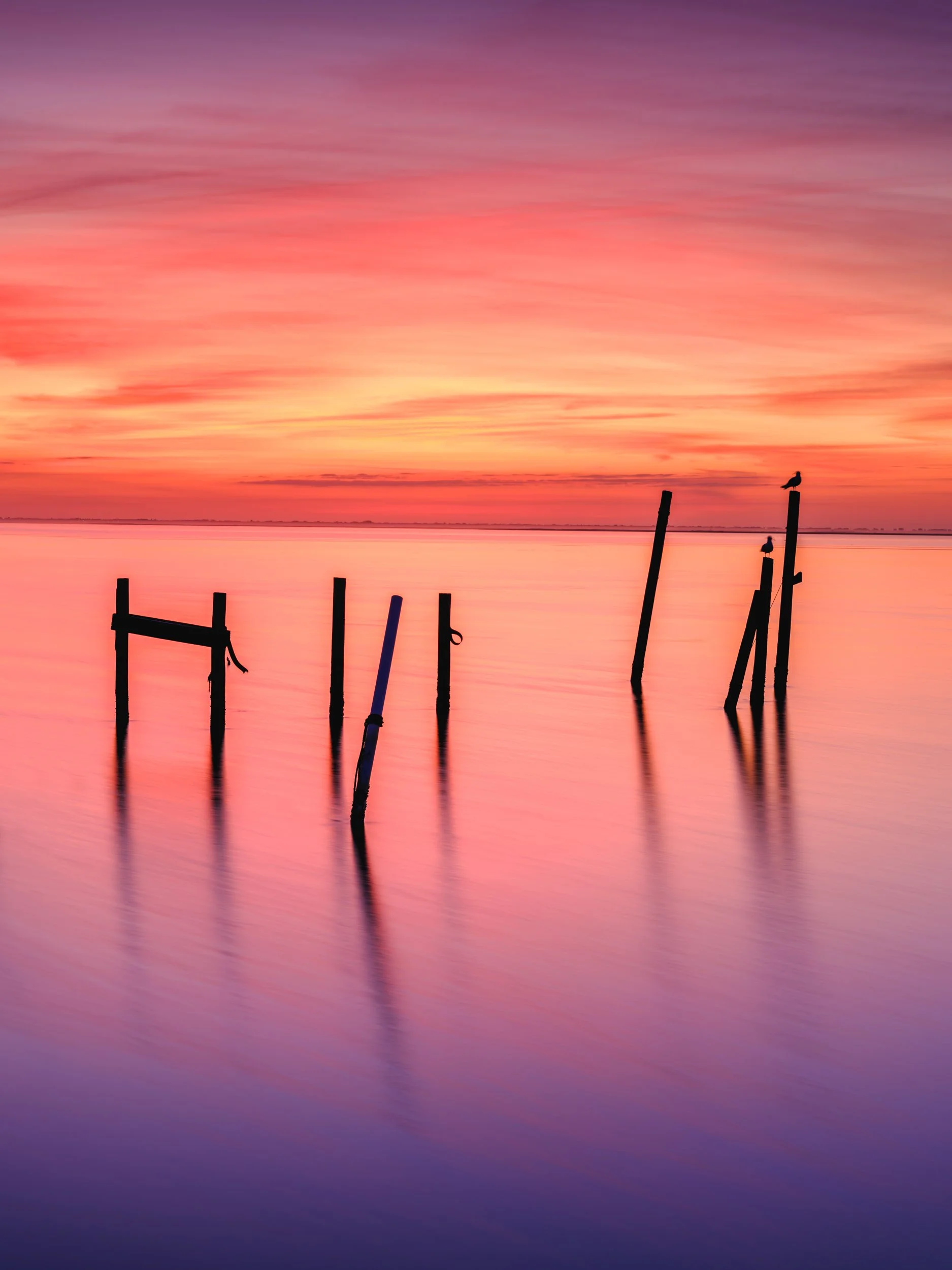 Tuckerton Dock 2