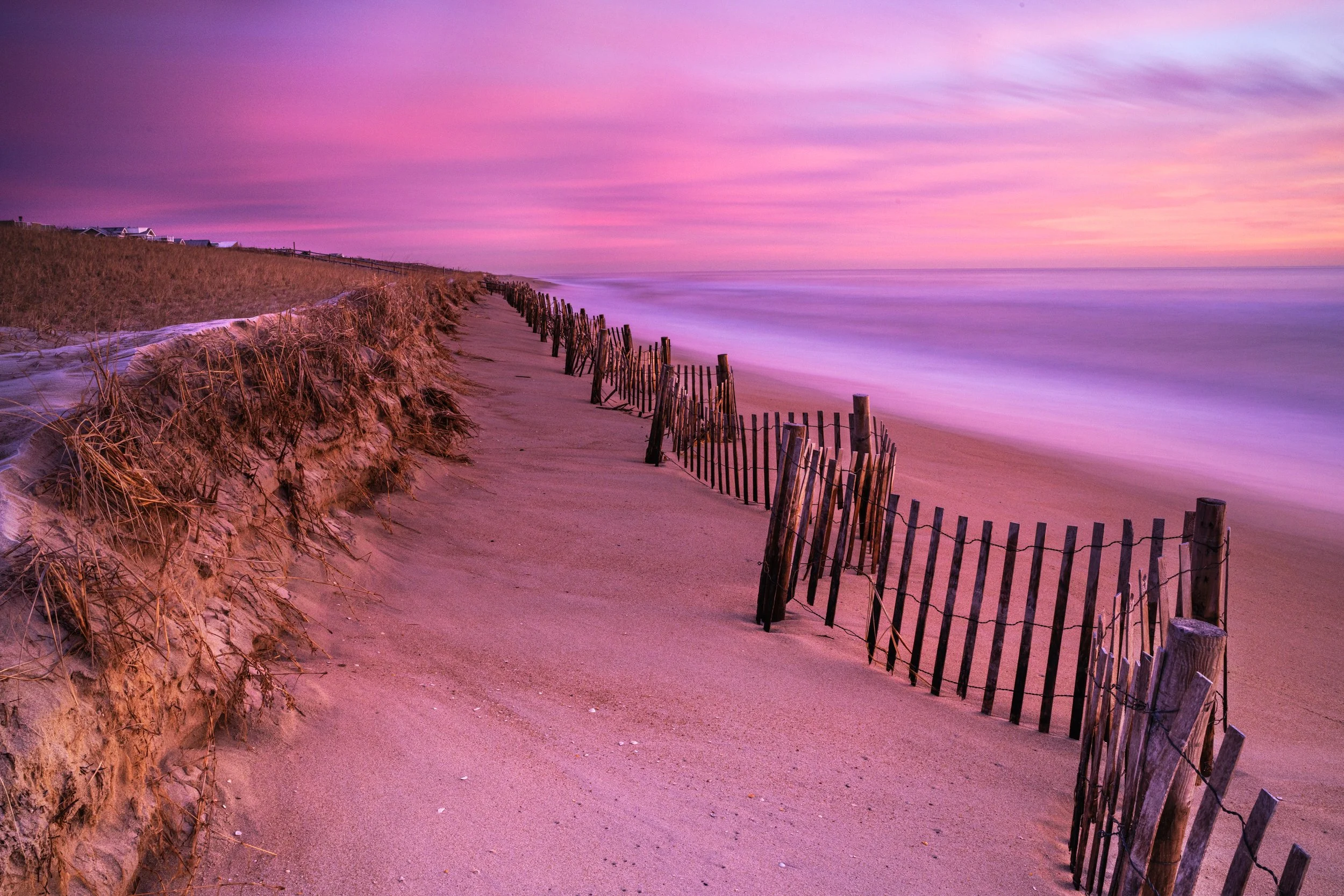 Dune Fence 3
