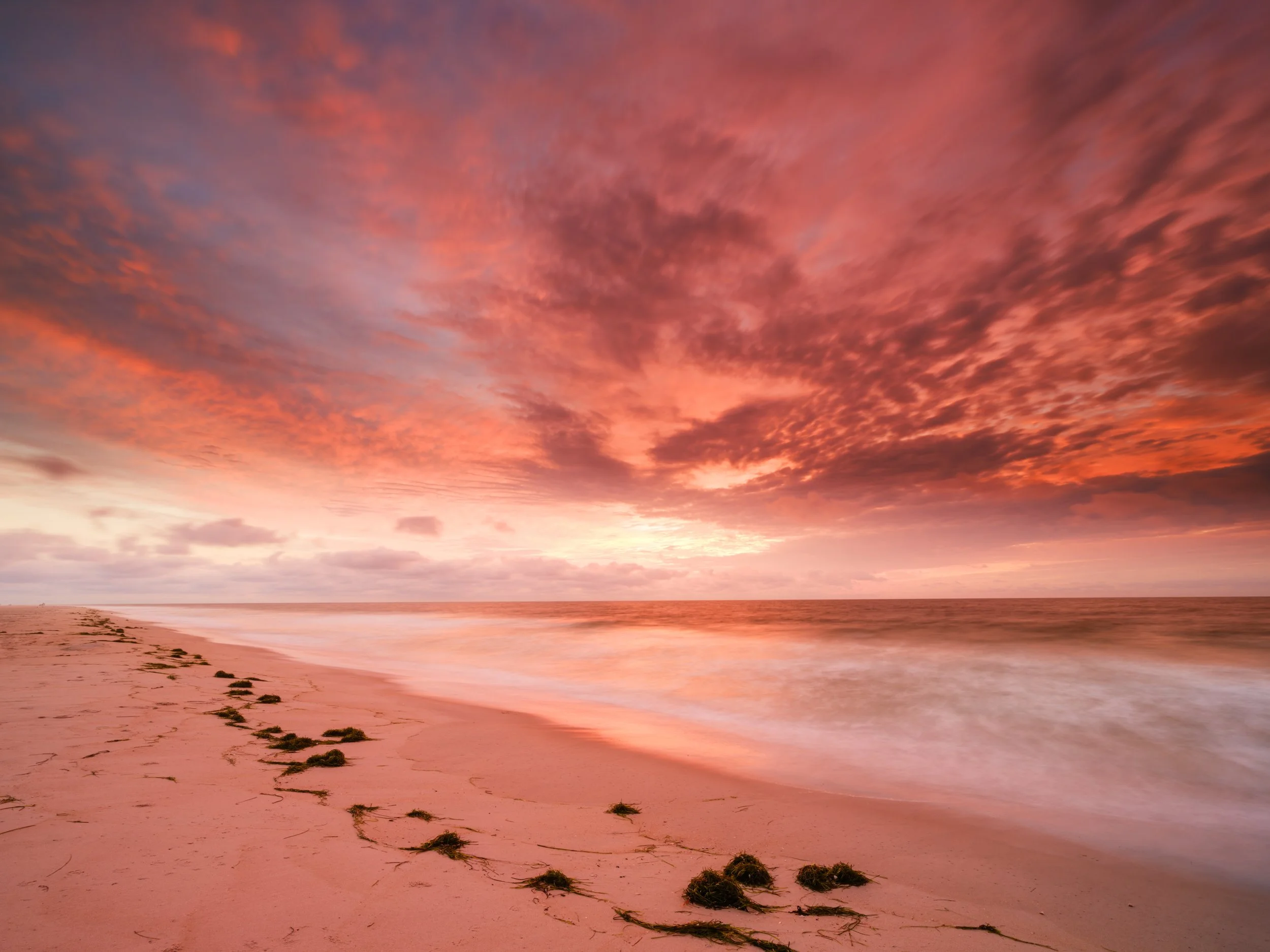Orange Morning