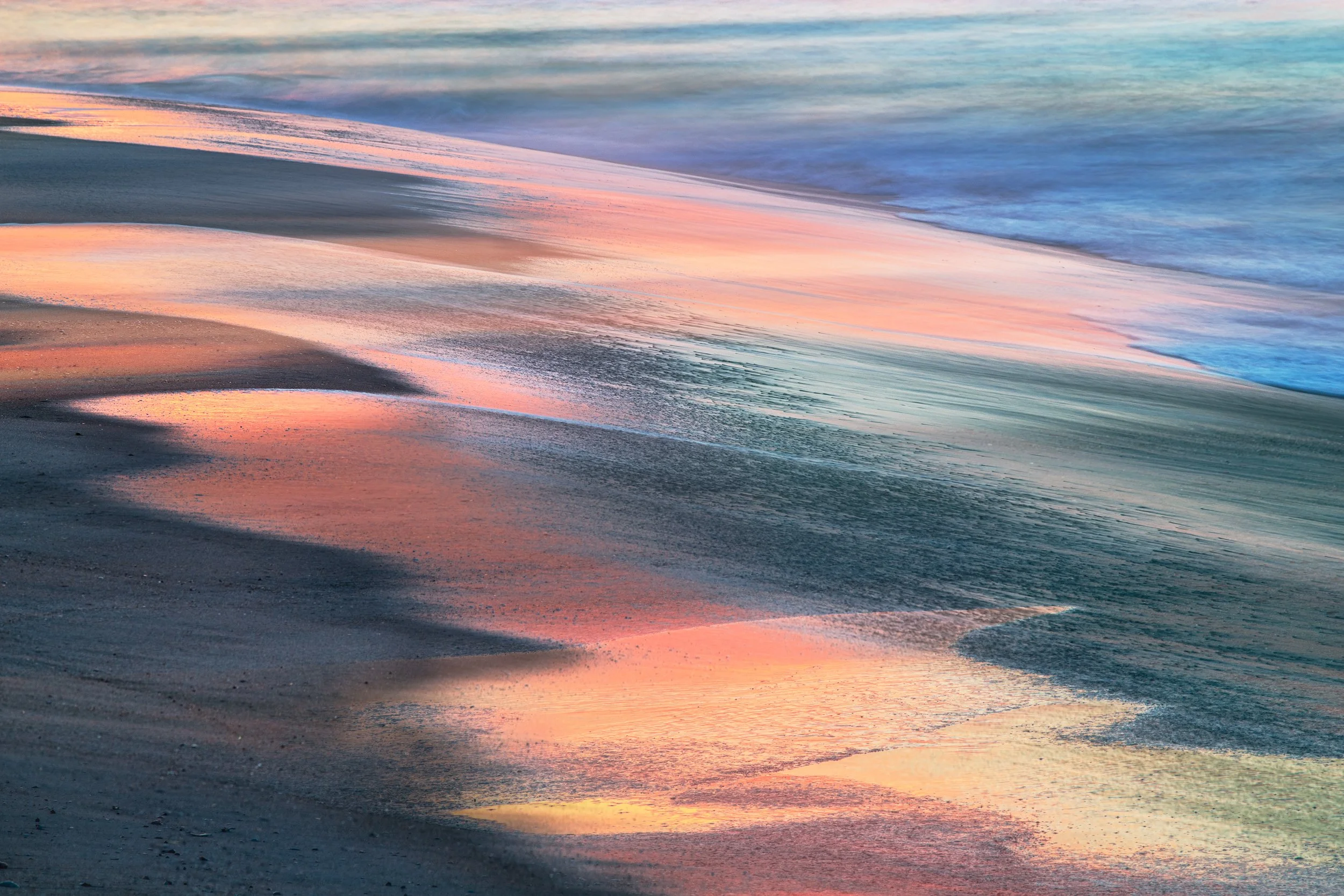 Nature's Paint Brush