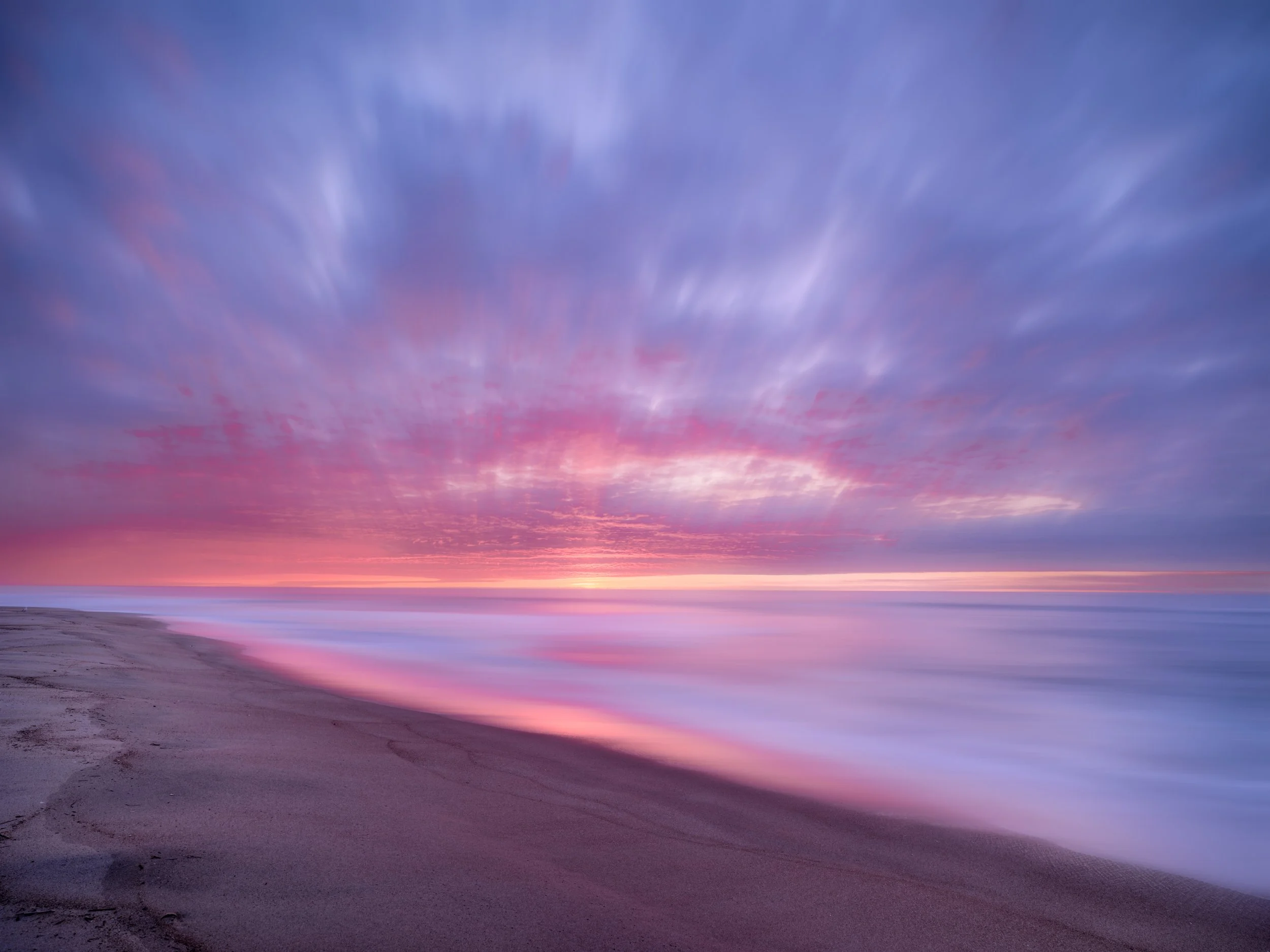 Morning Glory