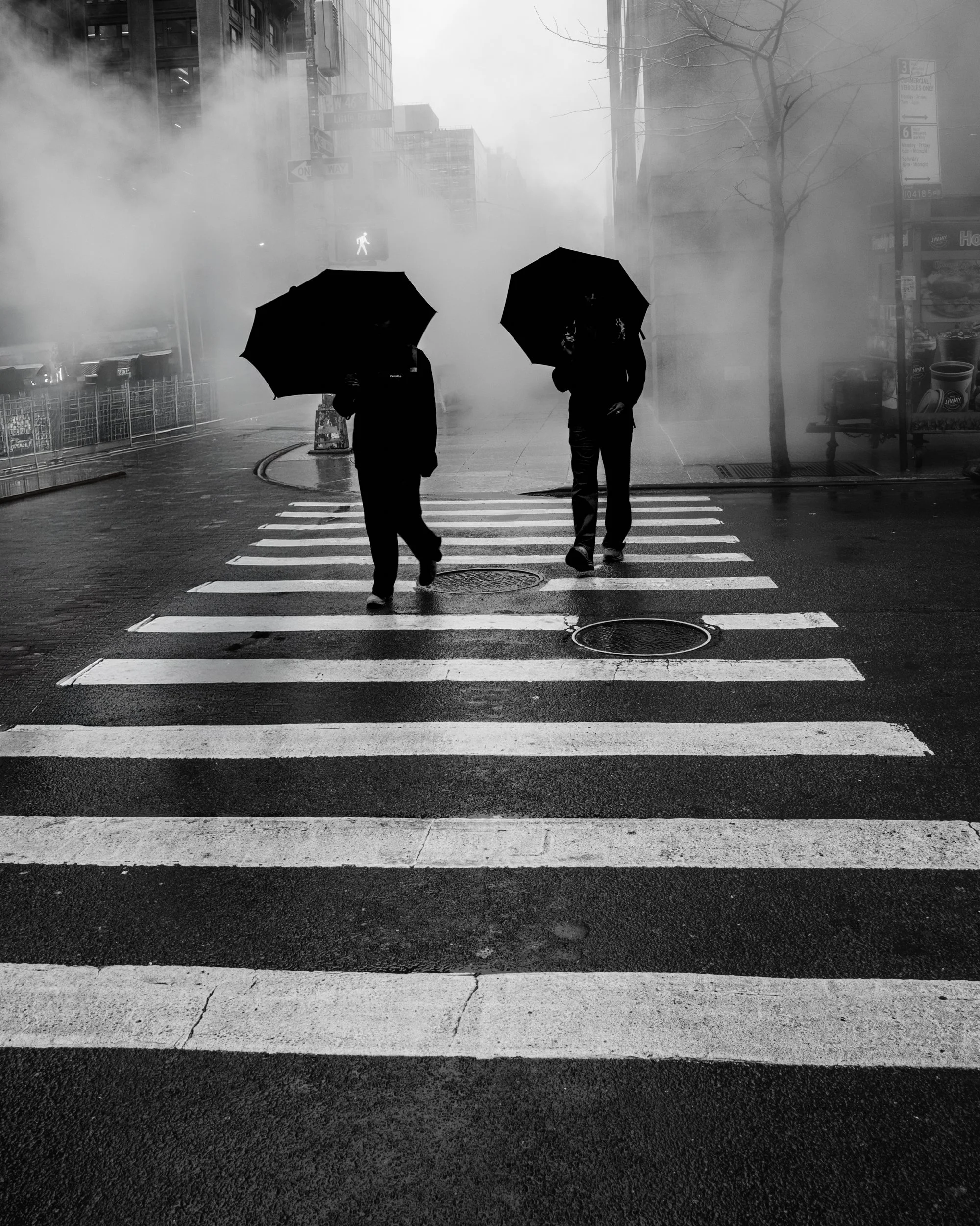 Crossing the Street 1