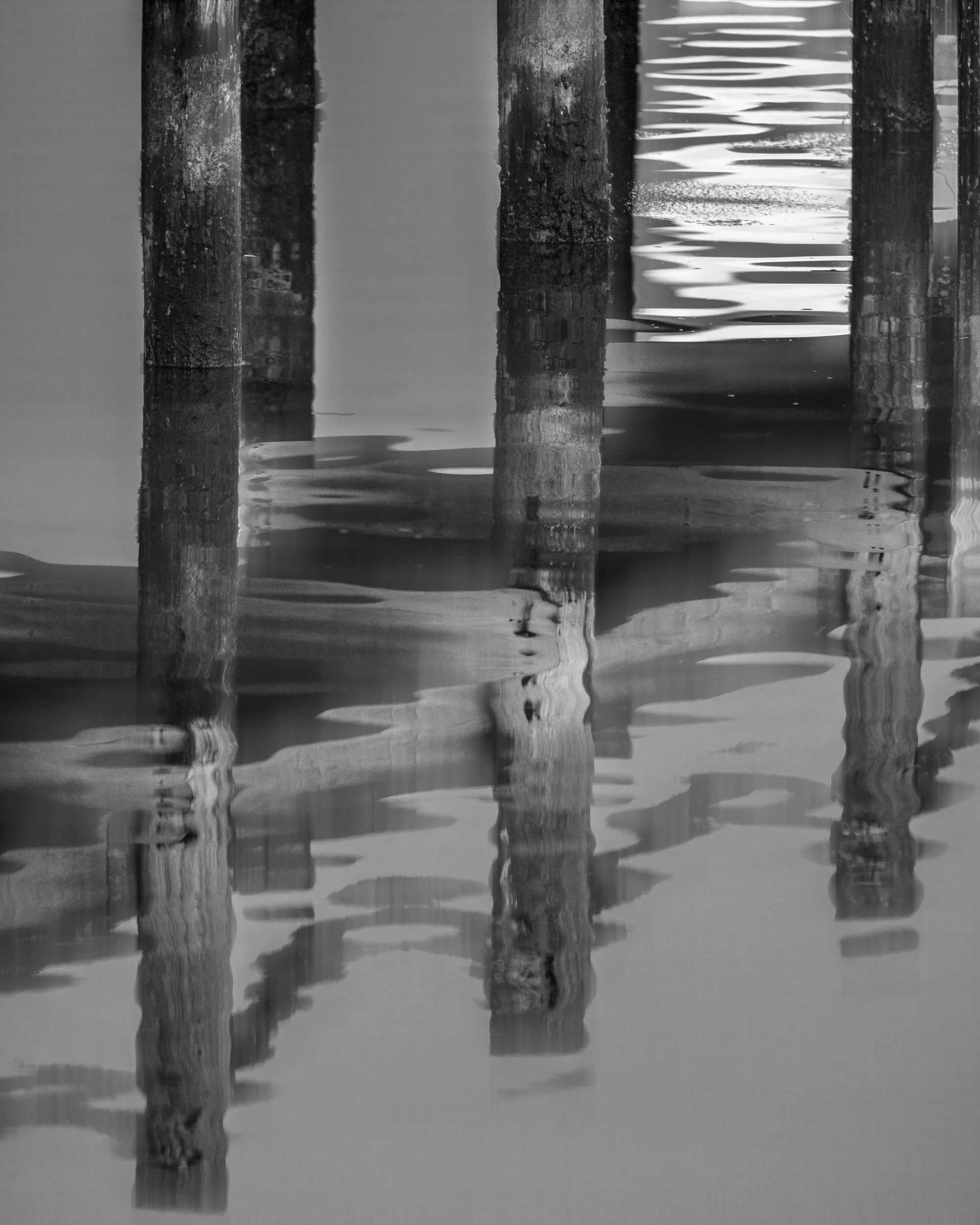 Dock Reflection 