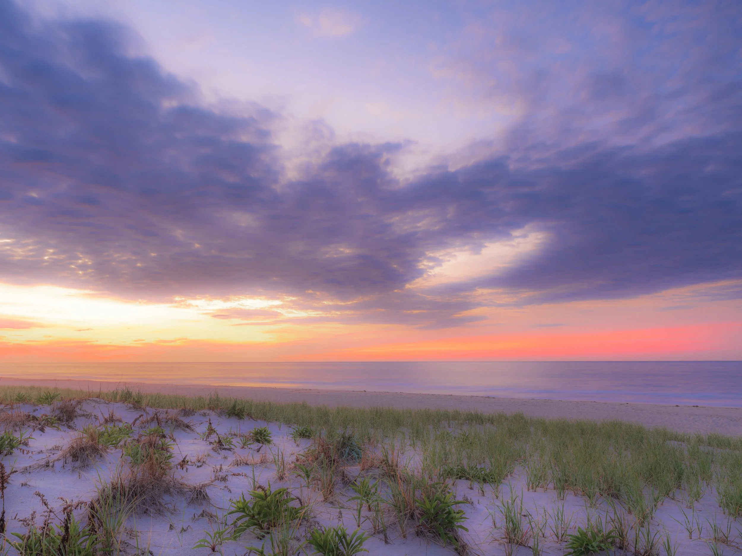 A View from the Dune