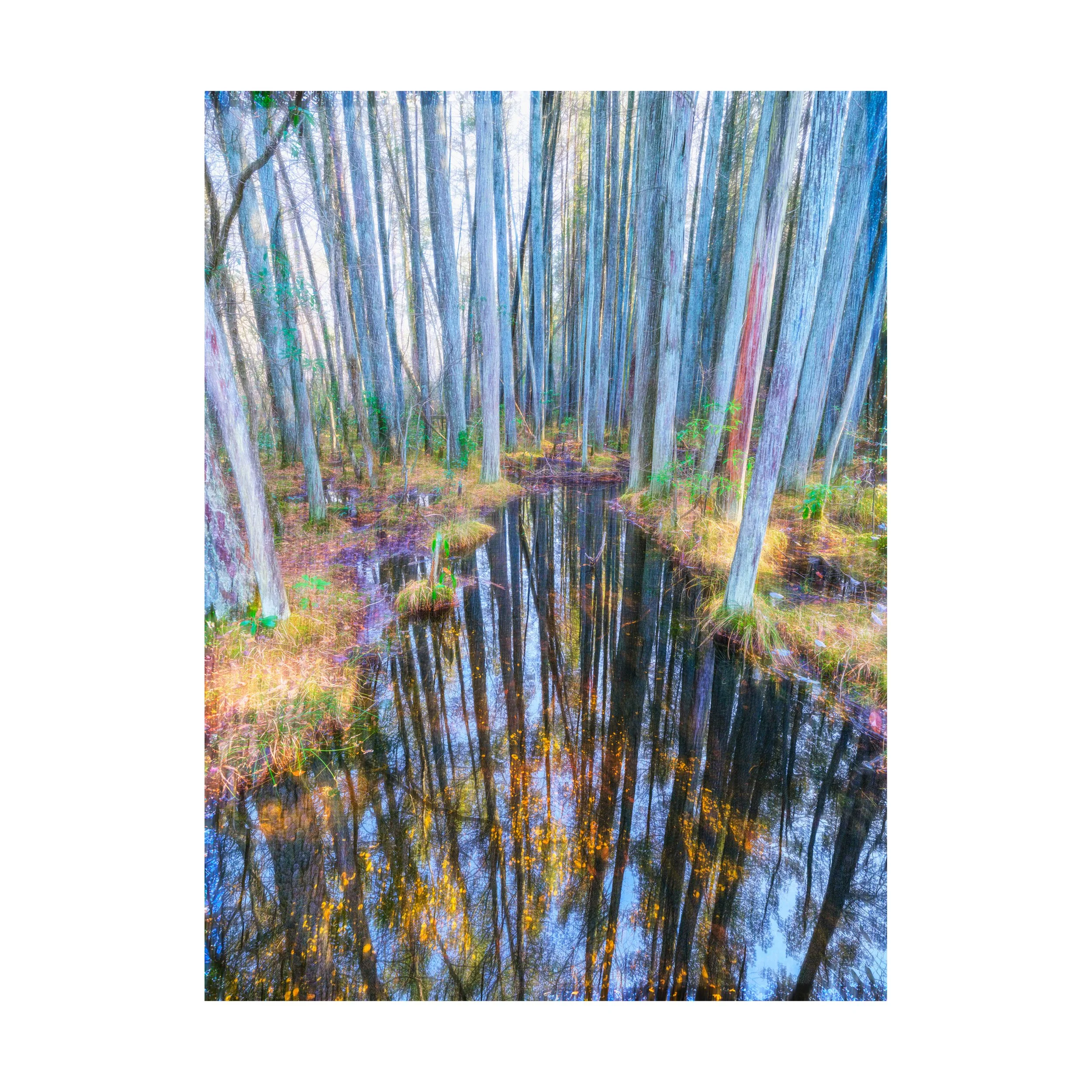 Abstract Nature