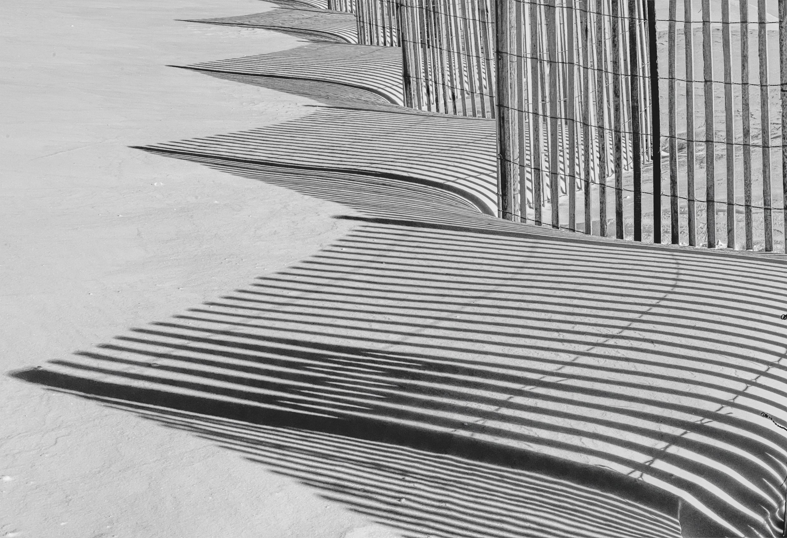 Dune Fence Shadow