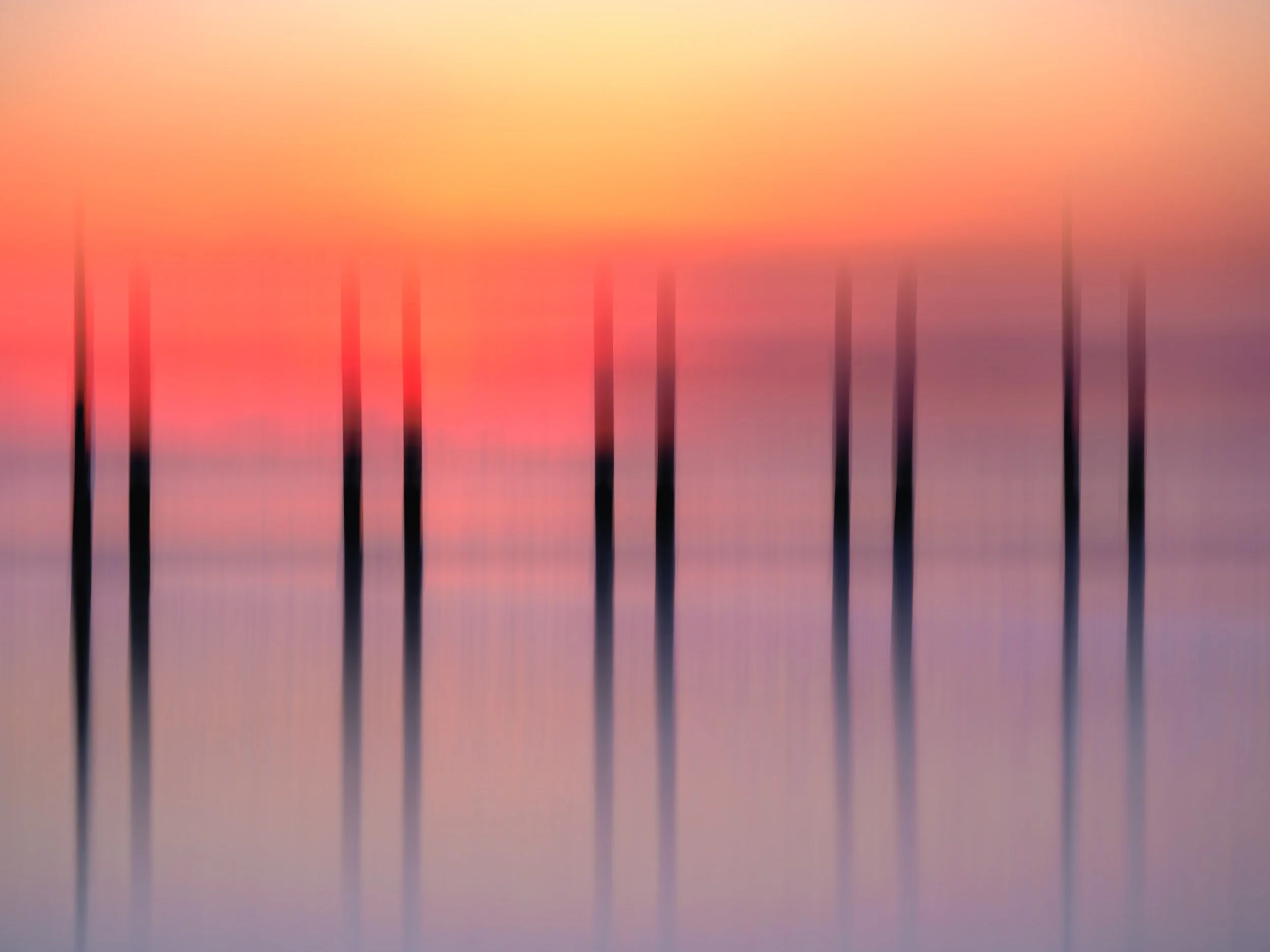 The Pilings