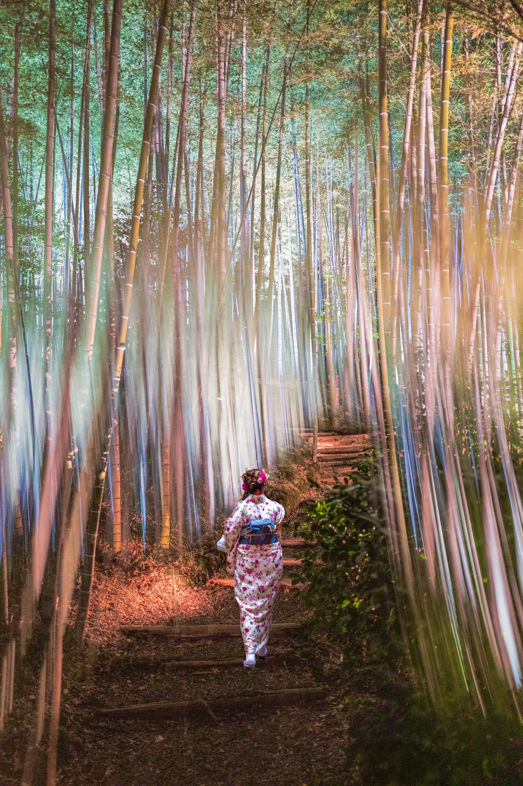 Kodai-Ji Temle, Kyoto, Japan