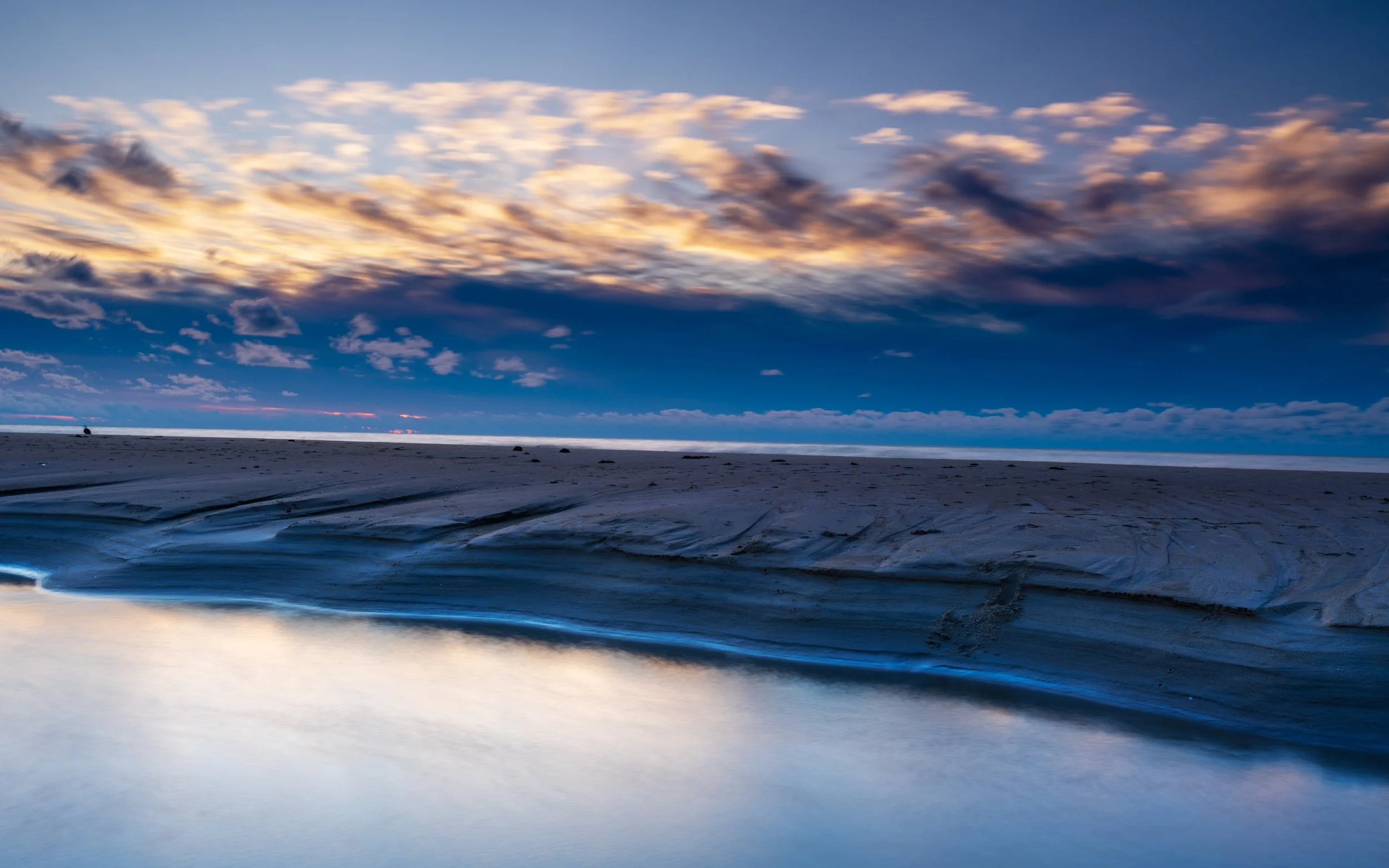 Tidal Pool