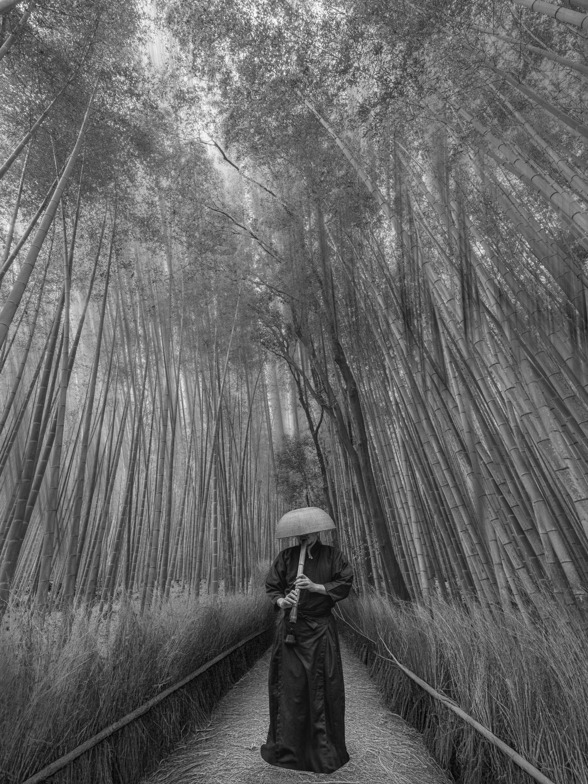Arashiyama Bamboo Grove, Kyoto, Japan
