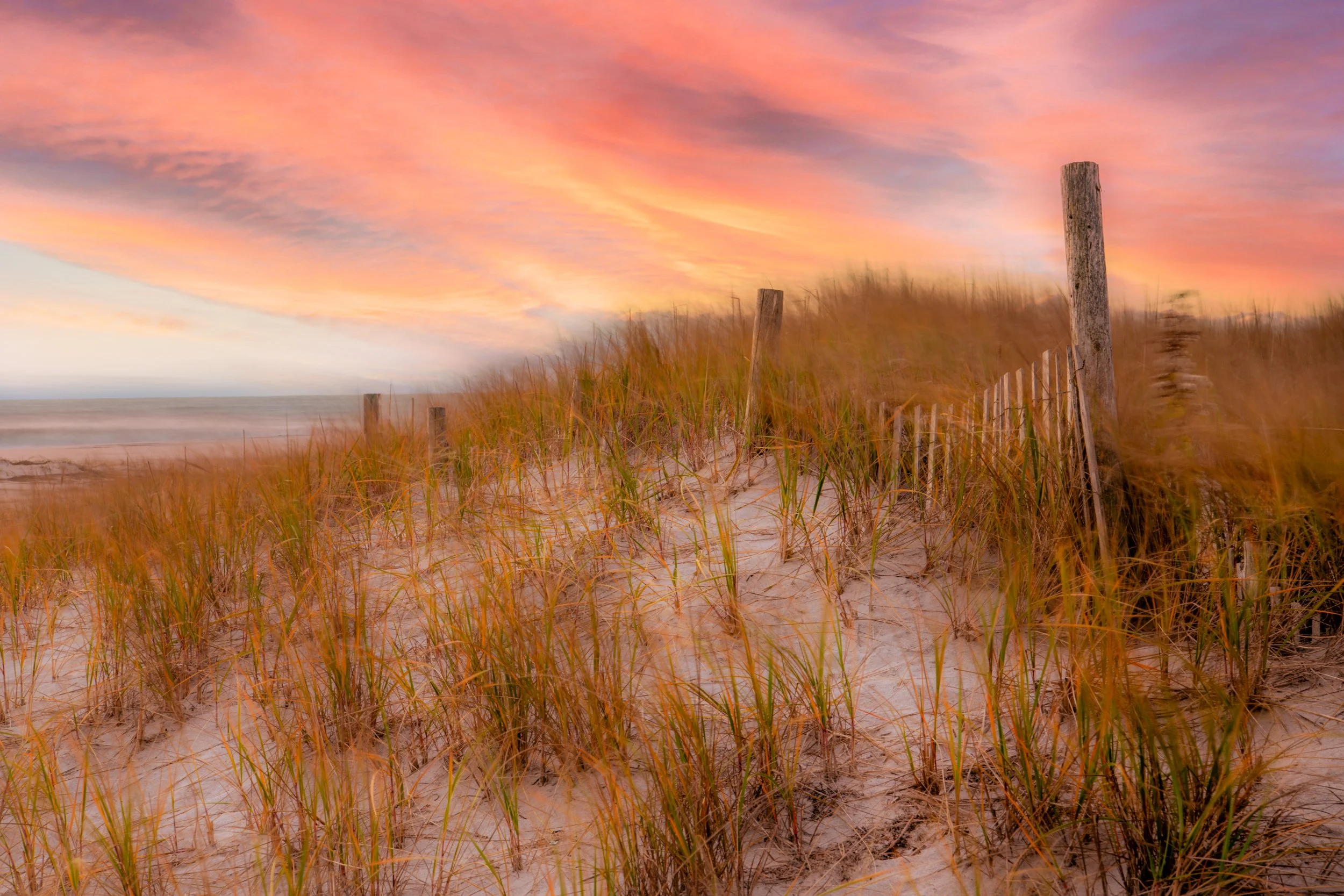 Dune Fence 2