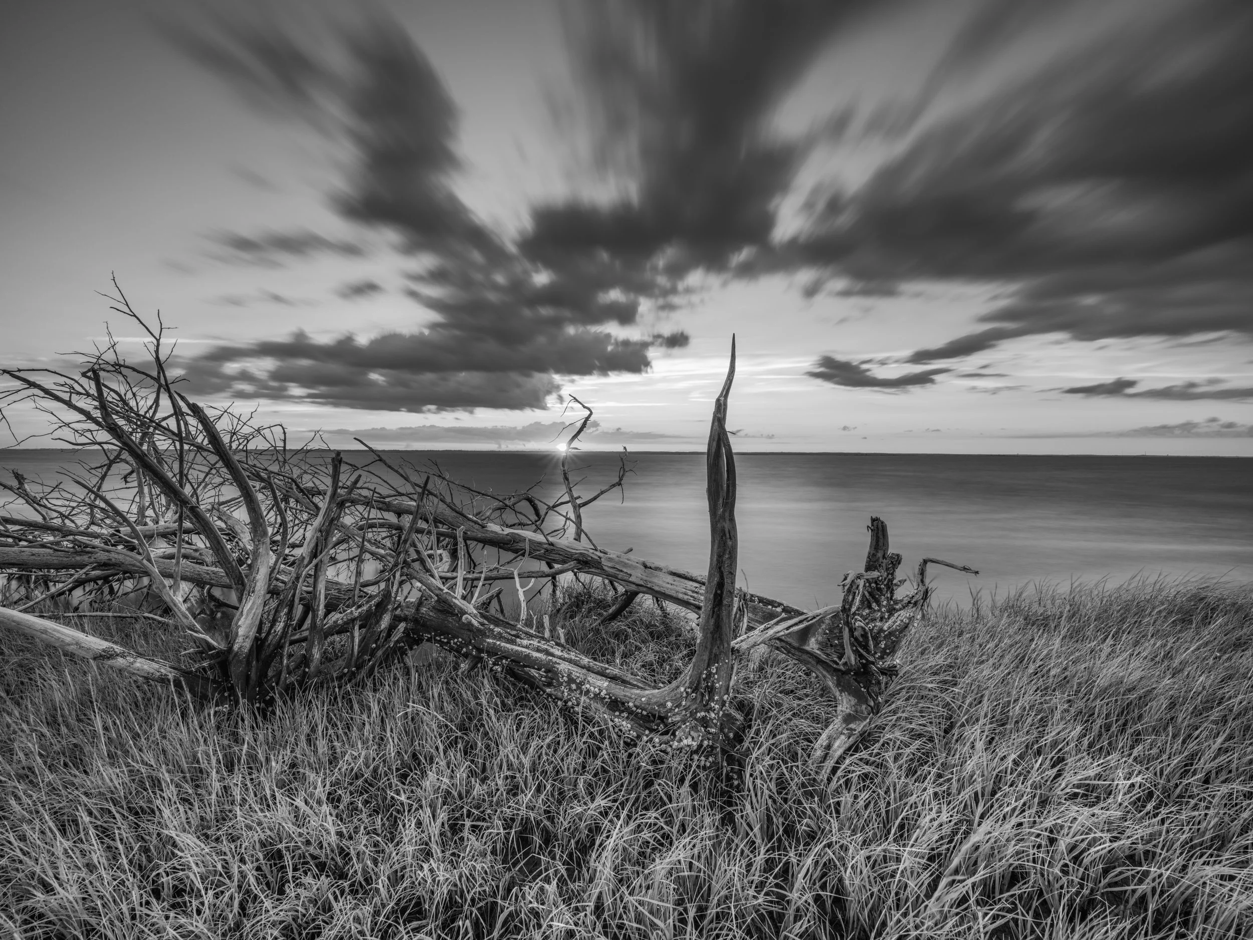 Marsh Sunset