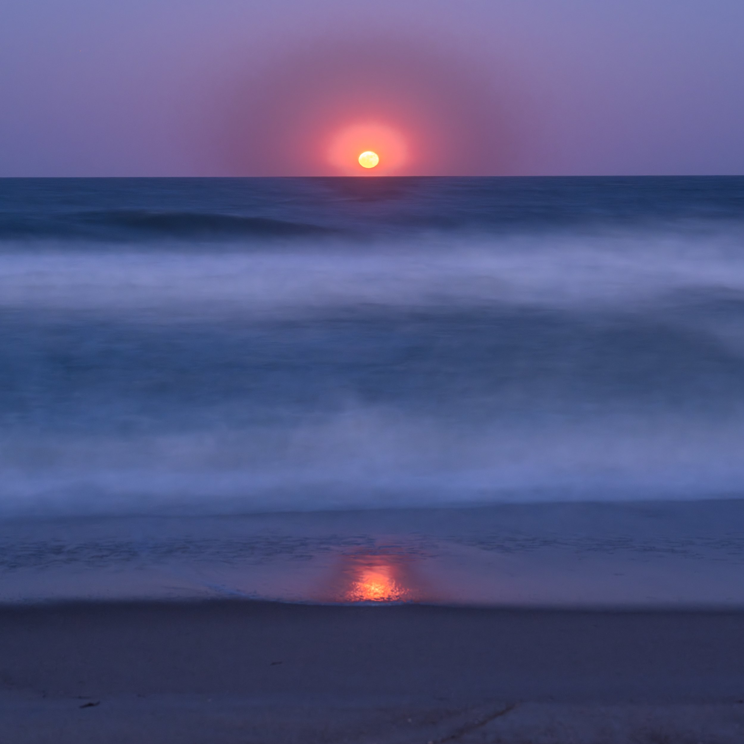 Purple Evening