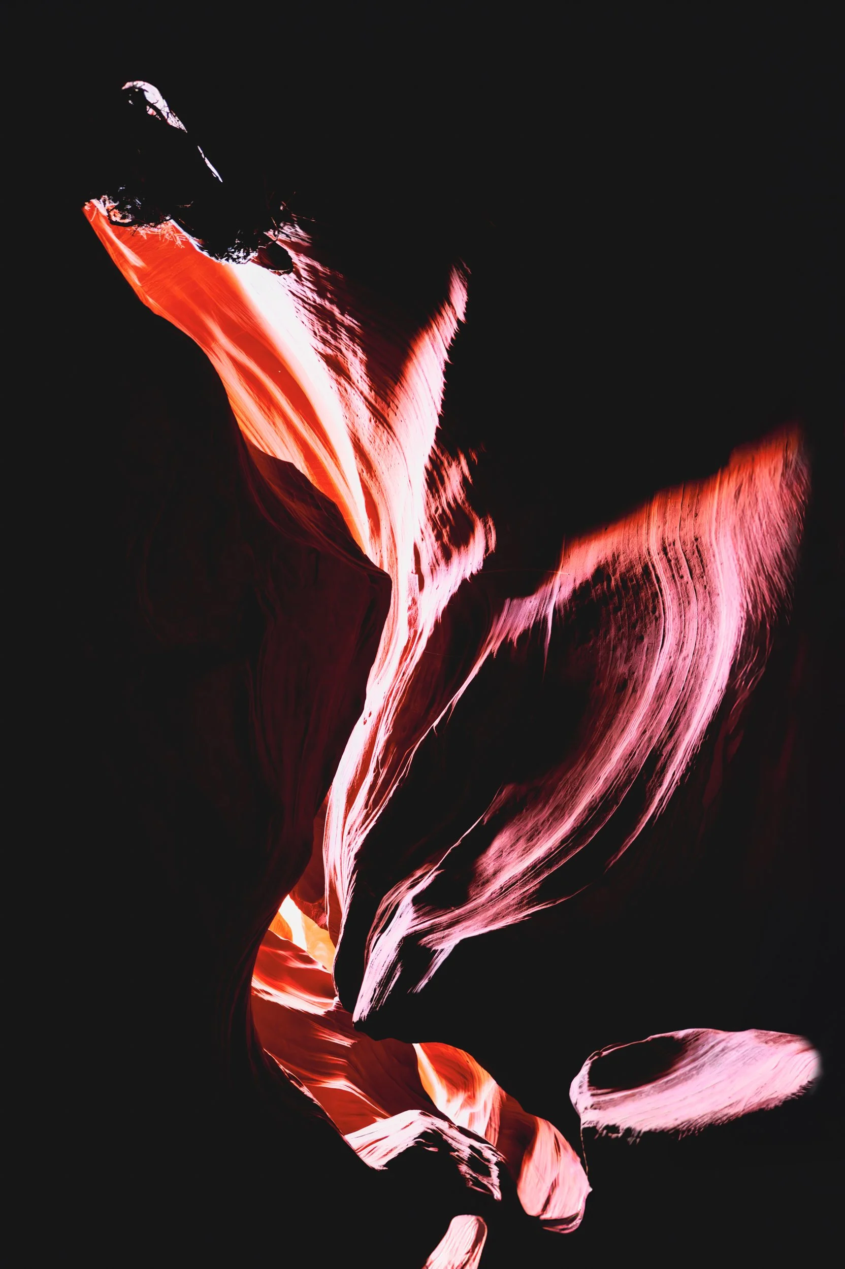 Canyon Flower 4