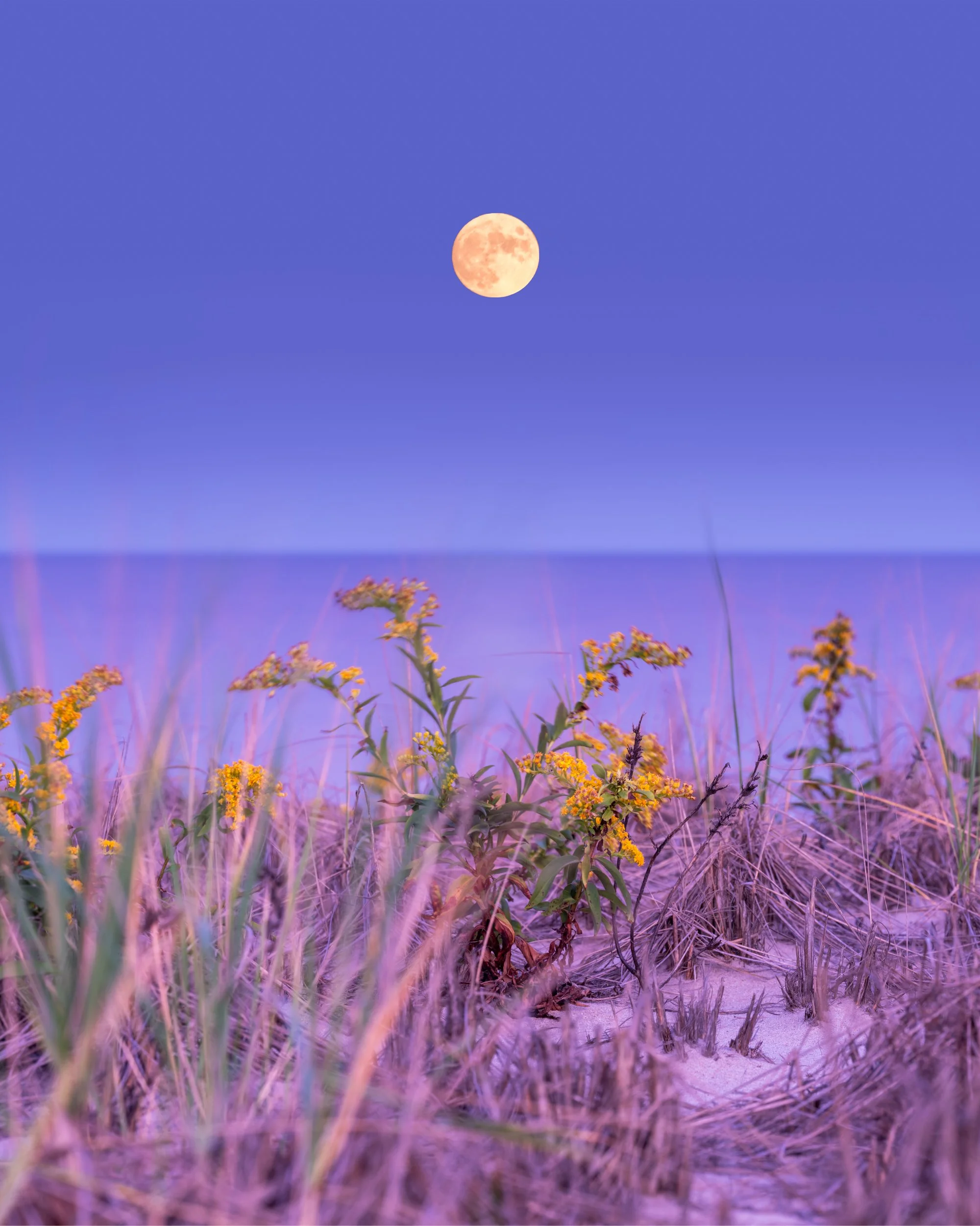 Hunter's Moon