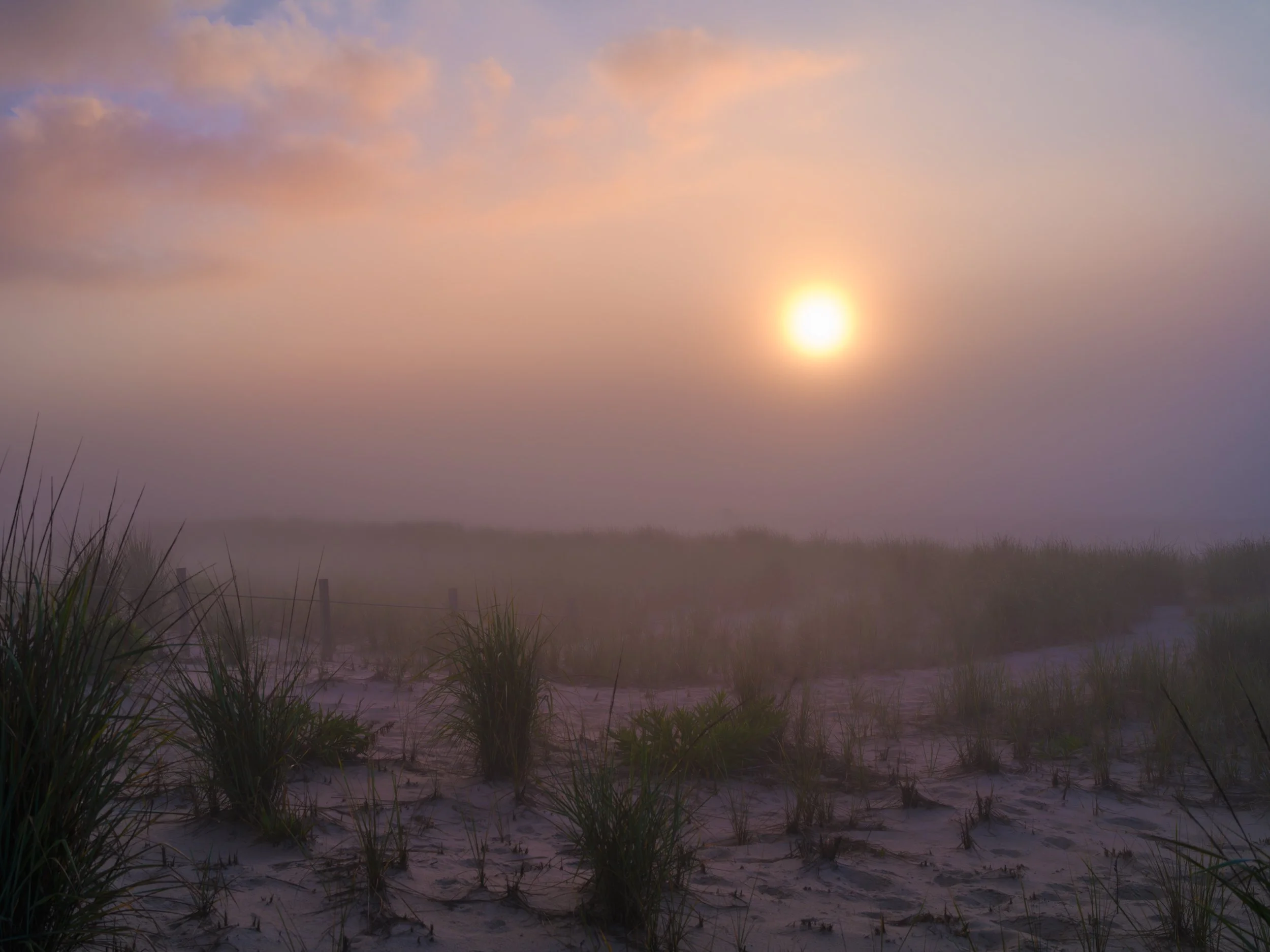Foggy