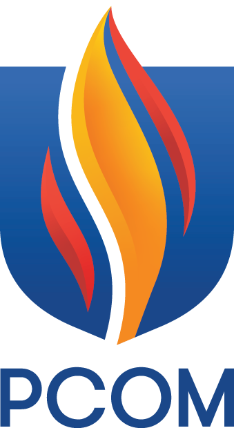 The image features the logo of the 2023 FIFA Women's World Cup, with a stylized flame design combining yellow, orange, red, and blue colors against a blue background.