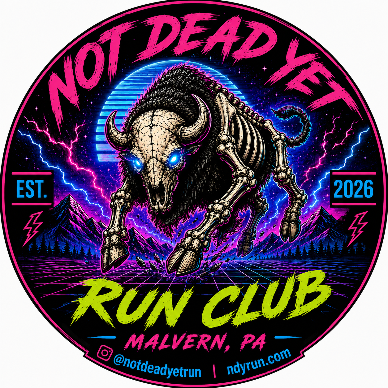 NDY Run Vehicle Magnet