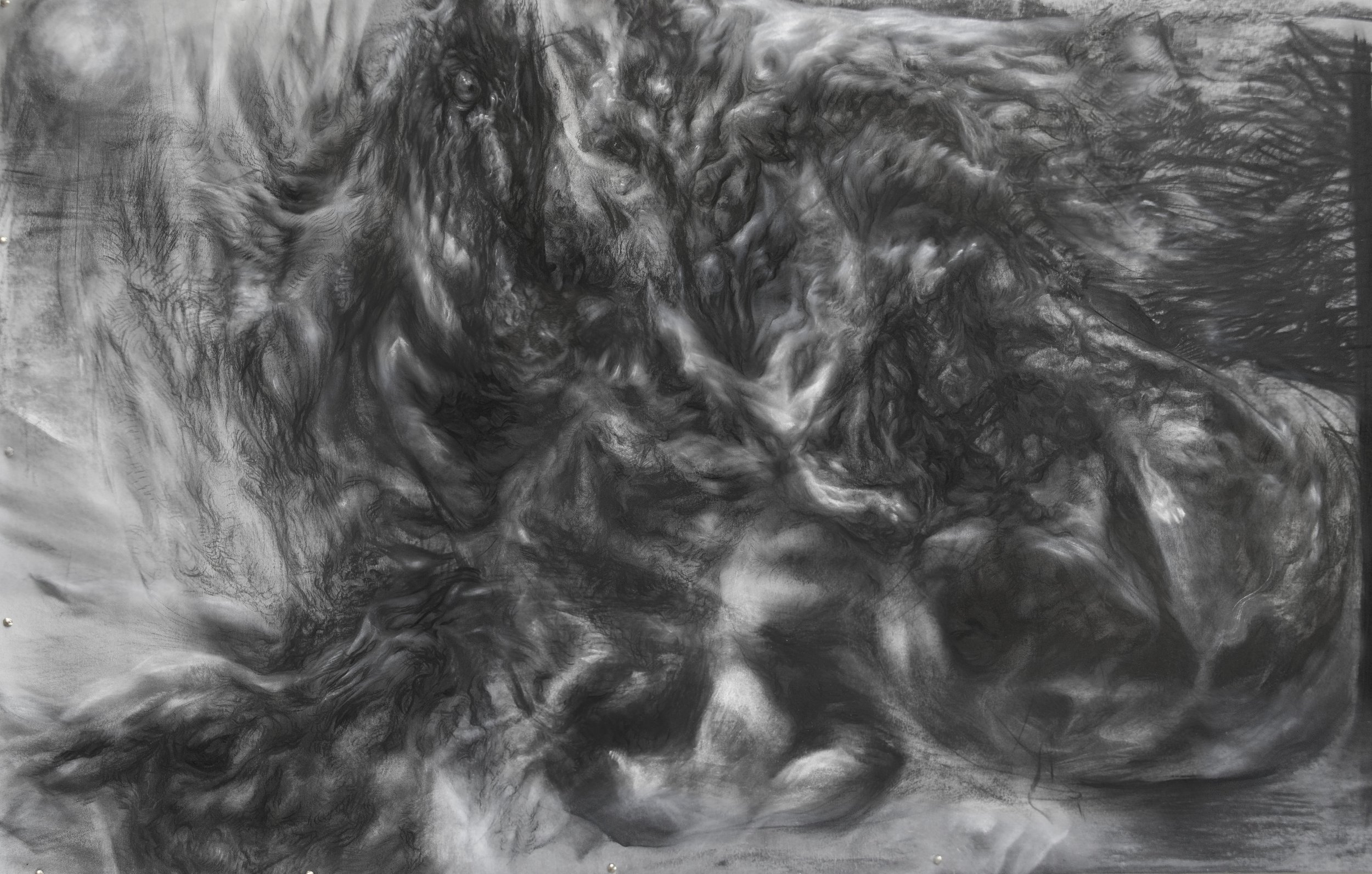 22-CP-03, 
Genemezis, 
charcoal, titanium dioxide on paper
156x100 cm
2021–2022