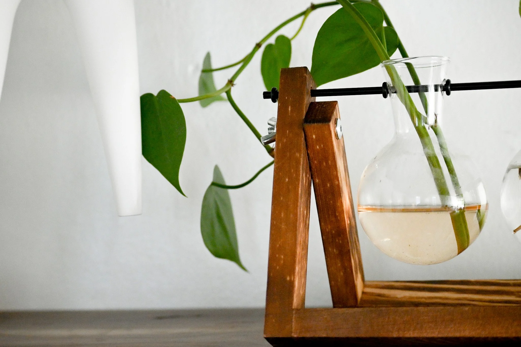 A close-up view of a wooden plant stand holding a glass container with a green ivy plant. The background is a plain white wall.