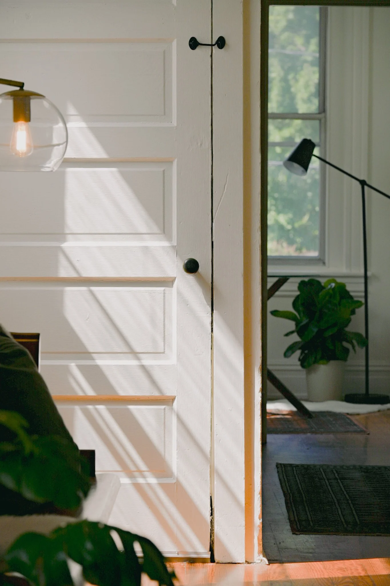 Interior view of a room with a partial white door, a black wall hook, a window showing greenery outside, a black floor lamp, a plant, a black rug, and a wooden floor.