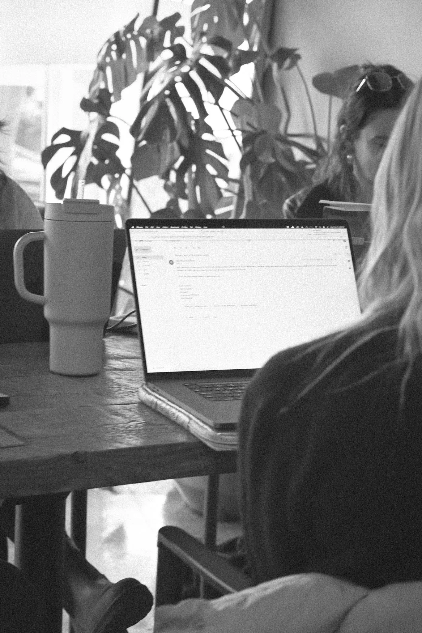 People sitting at a table working on laptops, with large indoor plants in the background.