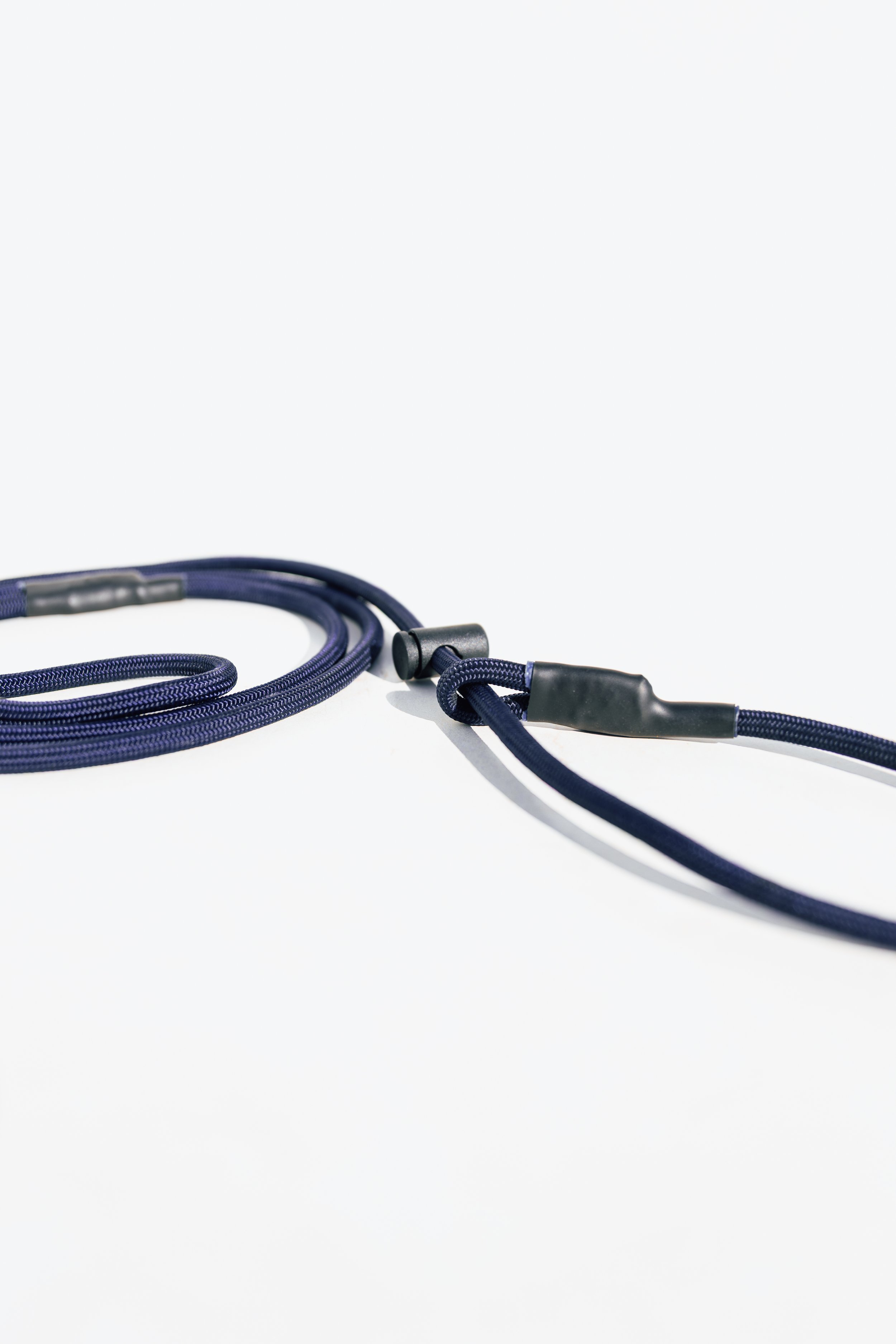 DFWK9 2026-8.jpg