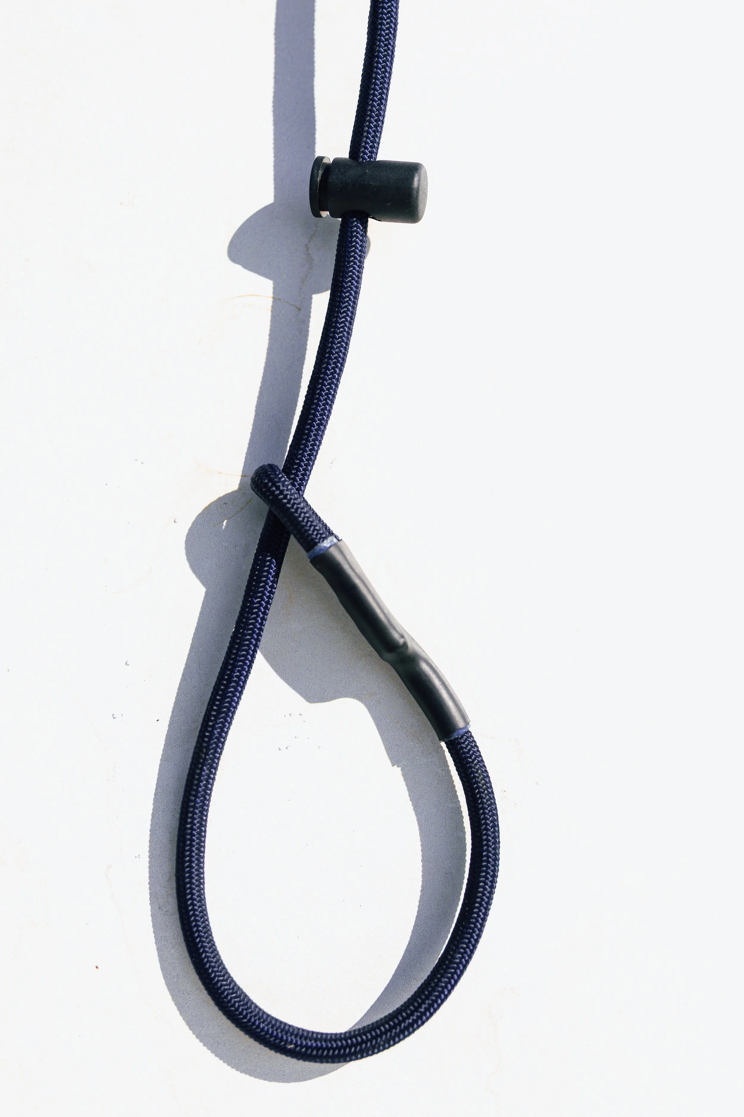 DFWK9 2026-9.jpg