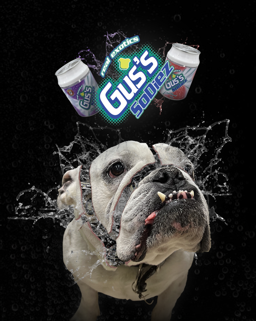 GUS'S SODIEZ