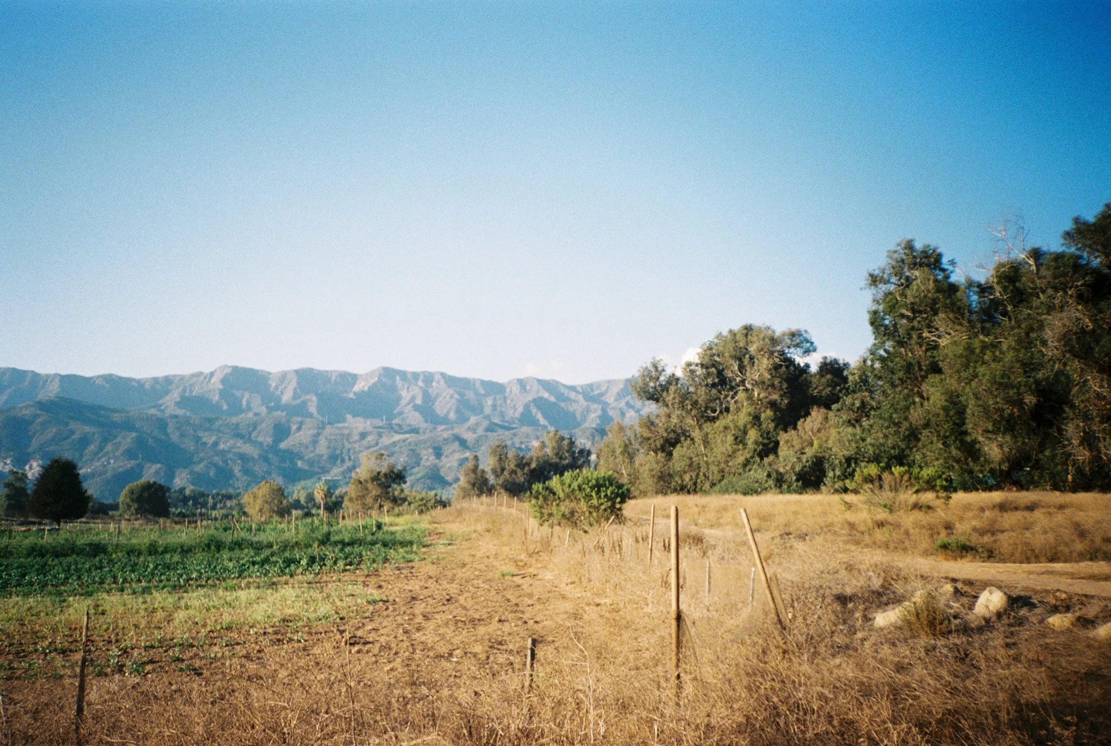 A landscape with mountains in the background, trees, and a farm field in the foreground under a clear blue sky.