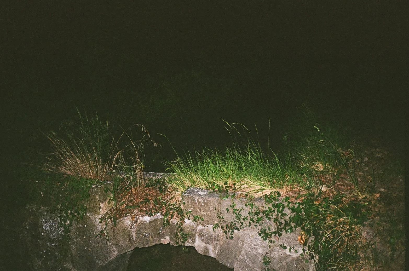 Nighttime scene showing a stone wall with grass and plants illuminated by a bright light, with a dark sky above.