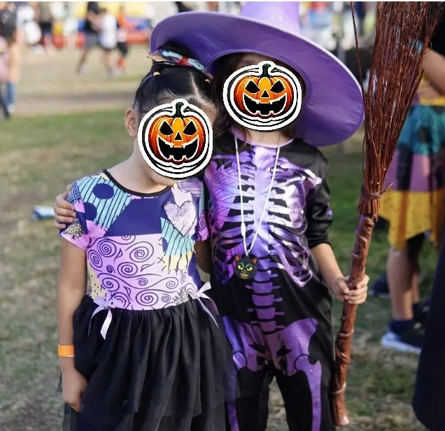 Pumpkin Patch