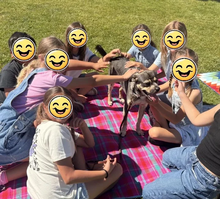The Unstoppable Dogs Assembly