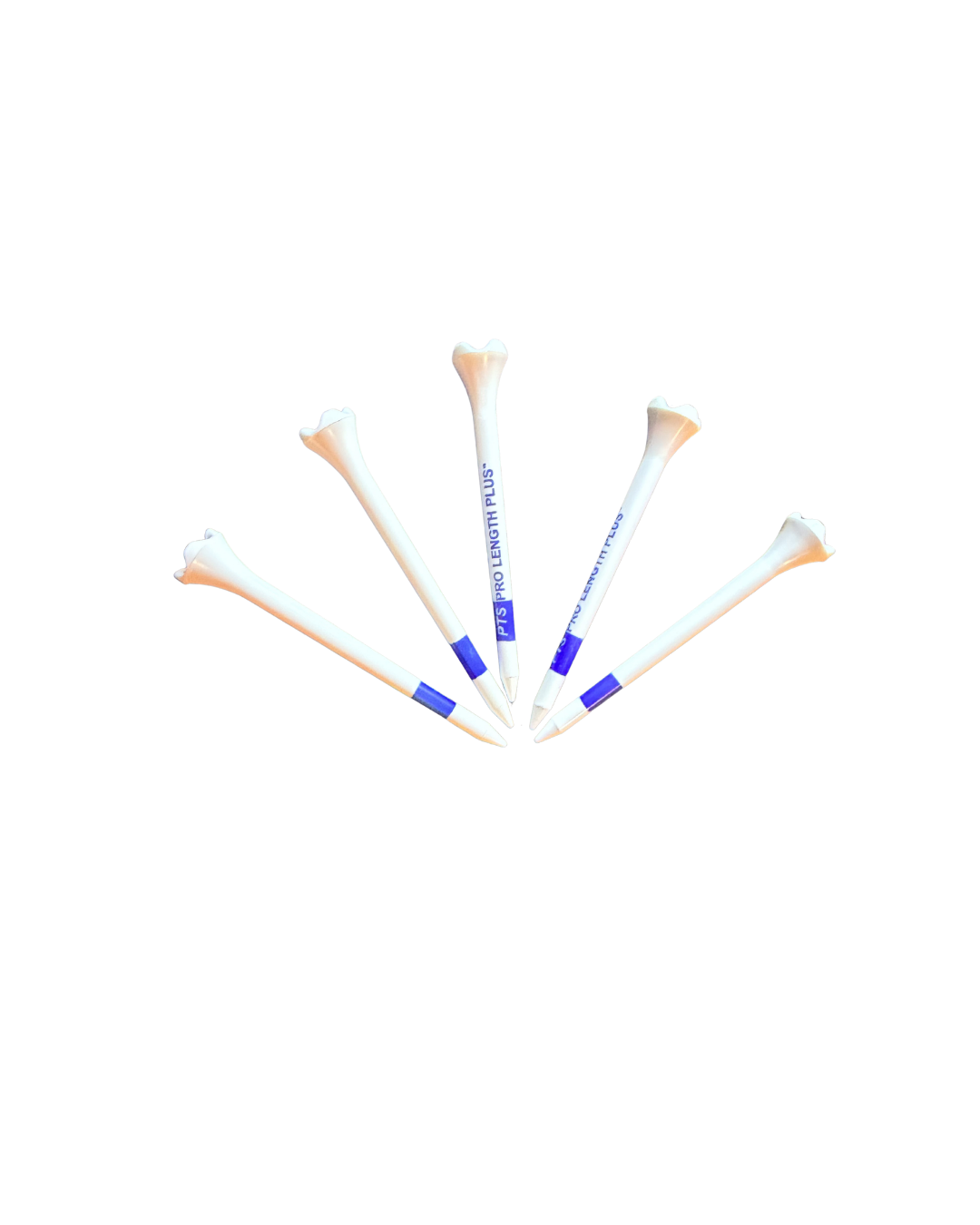 ONLINE SHOP ASSETS (8).png