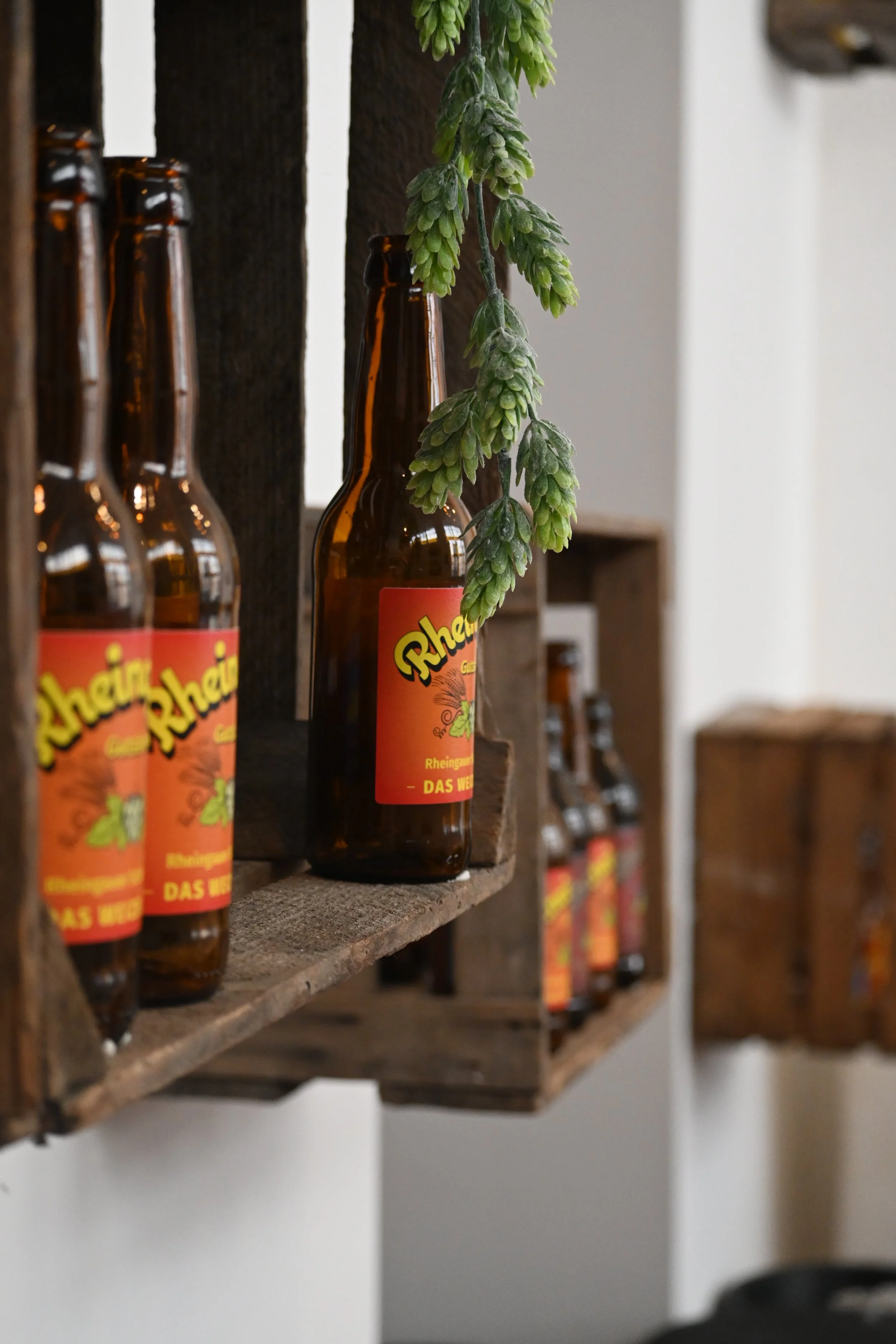 Brau- oder Bierschamel-Glasflaschen auf einem Holzregal, mit grüner Hopfendolde darüber.