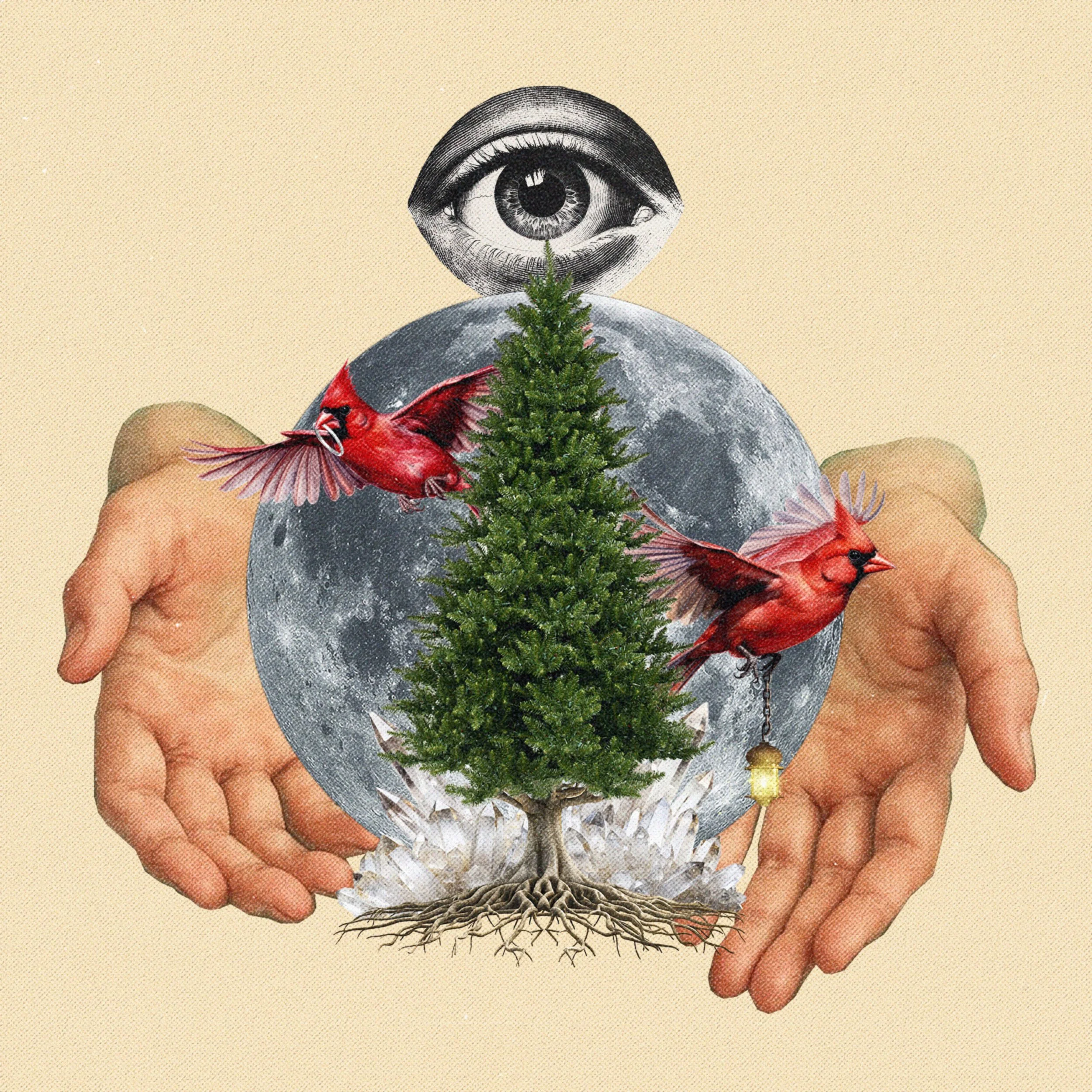 An artistic collage featuring a human hand holding a small evergreen tree, a large vintage-style eye illustration above the tree, a red cardinal bird resting on the hand, and a globe in the background.