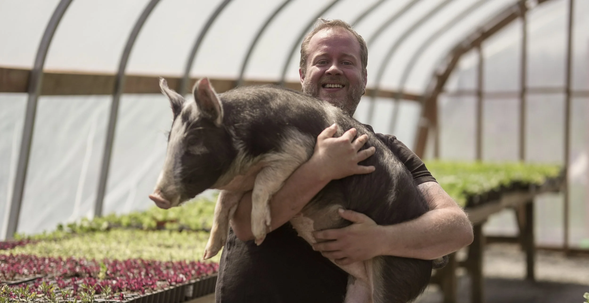 A man smiling and holding a piglet inside a greenhouse or farm barn with rows of plants or seedlings in the background.