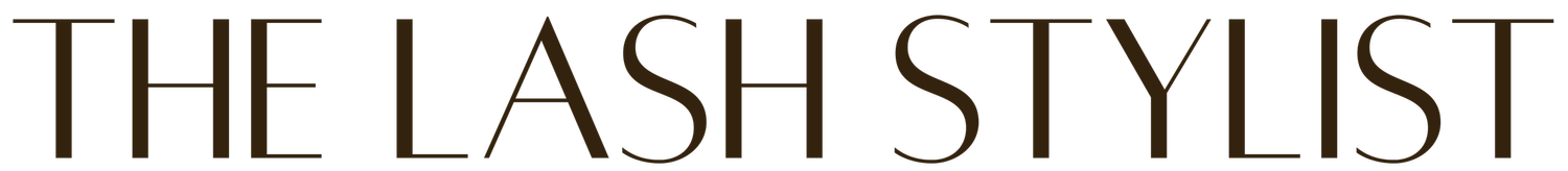 The Lash Stylist