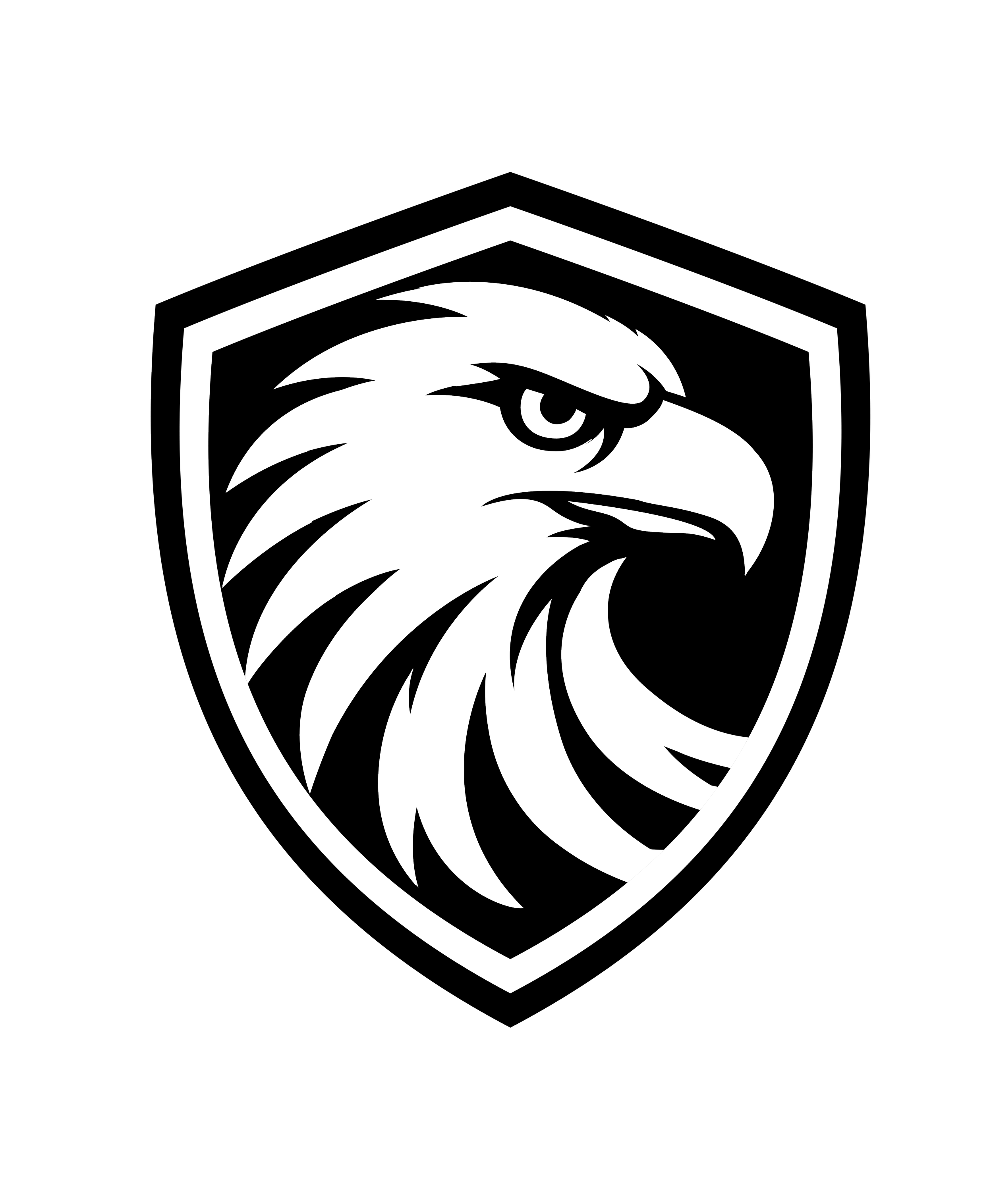 Outline of a lion's head inside a shield, designed with clean, simple lines on a black background.