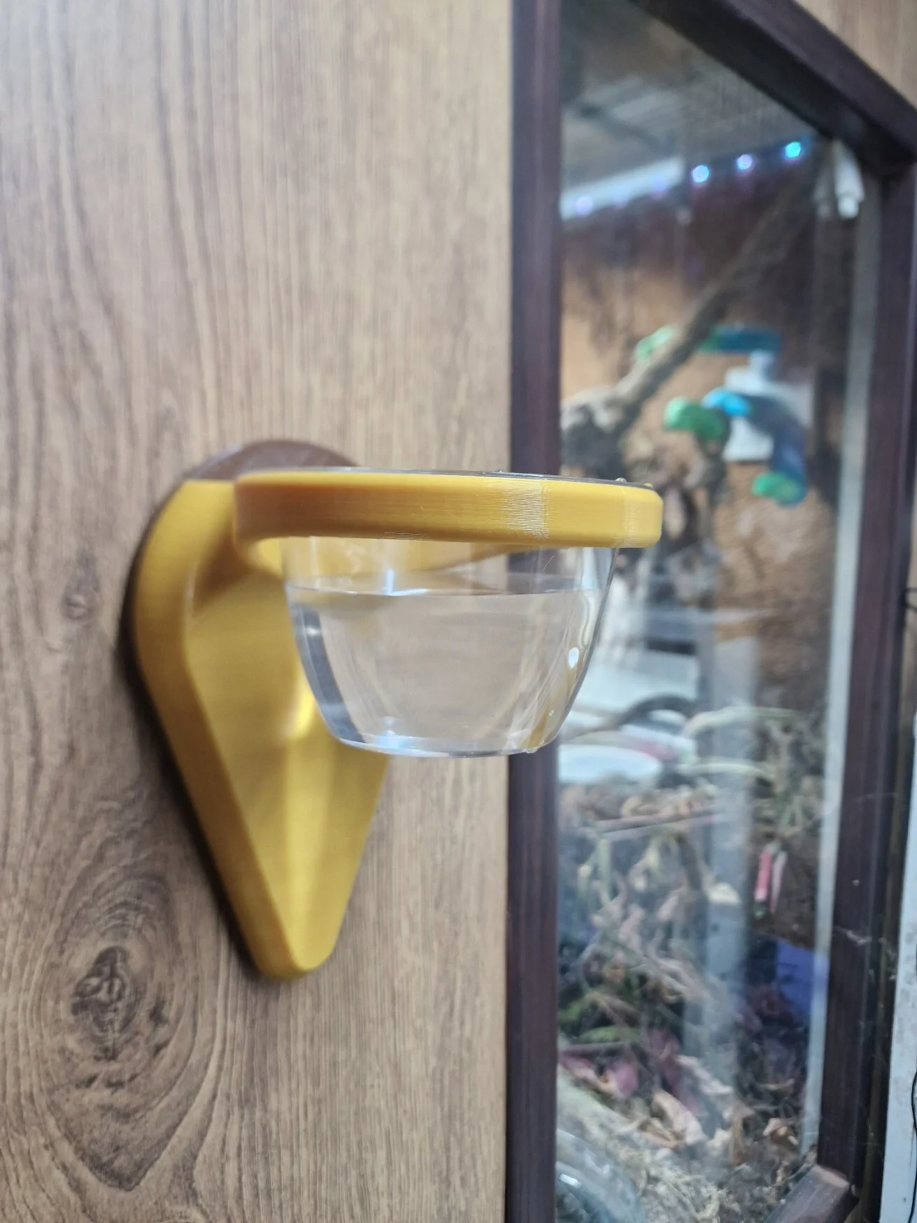 Reptile Wall Mounted Water Bowl, 3D Printed PLA, Detachable, Bio-degradable, GTP, Vivarium