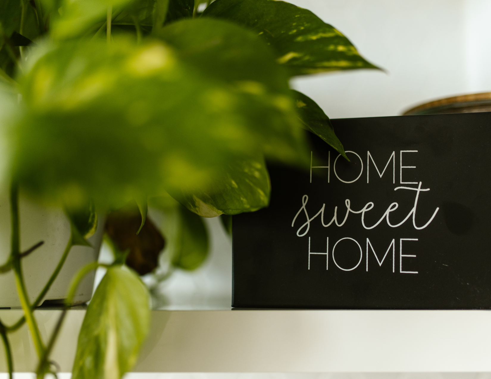 Close-up of green houseplants next to a black sign with white text that reads 'Home sweet home'.