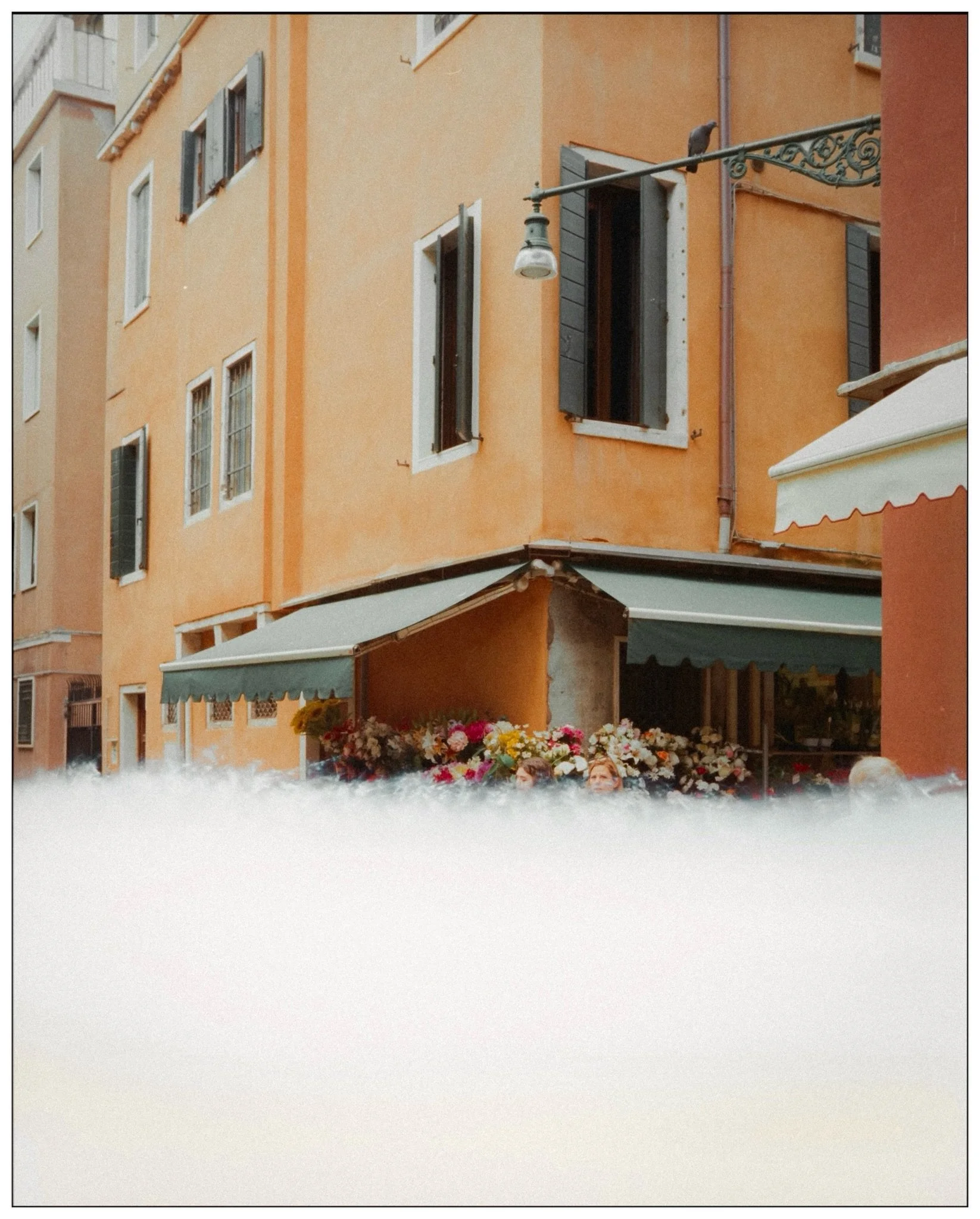 Last frames from a week in Tuscany 🇮🇹

📷 Leica M7 + Voigtlander CS 50/2.2
🎞️ Kodak Vision 3 250D

#tuscany #italy #kodakfilm #leicacamera #35mm