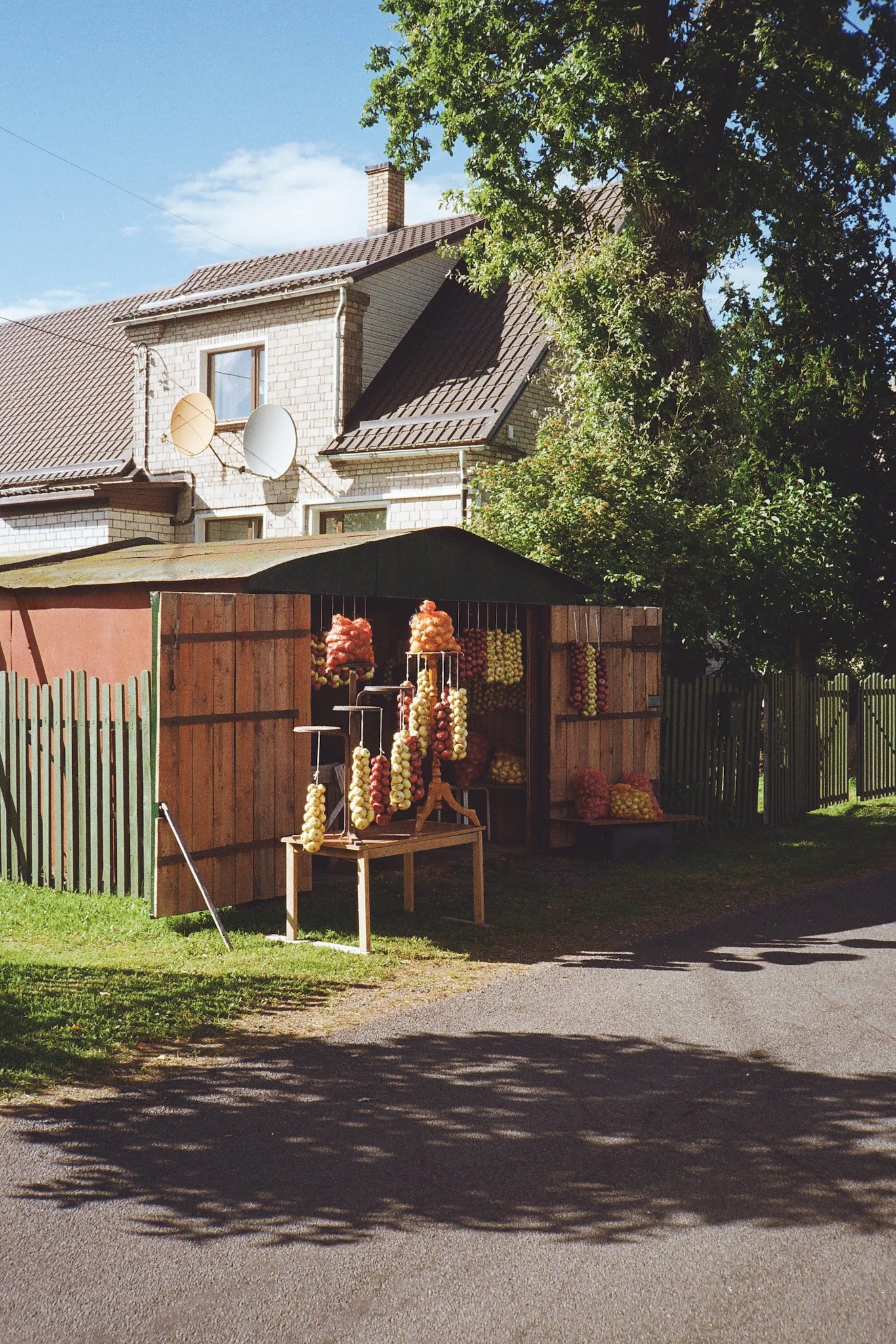 First Roll Review- Leica AF-C1 Film Camera-2.jpg