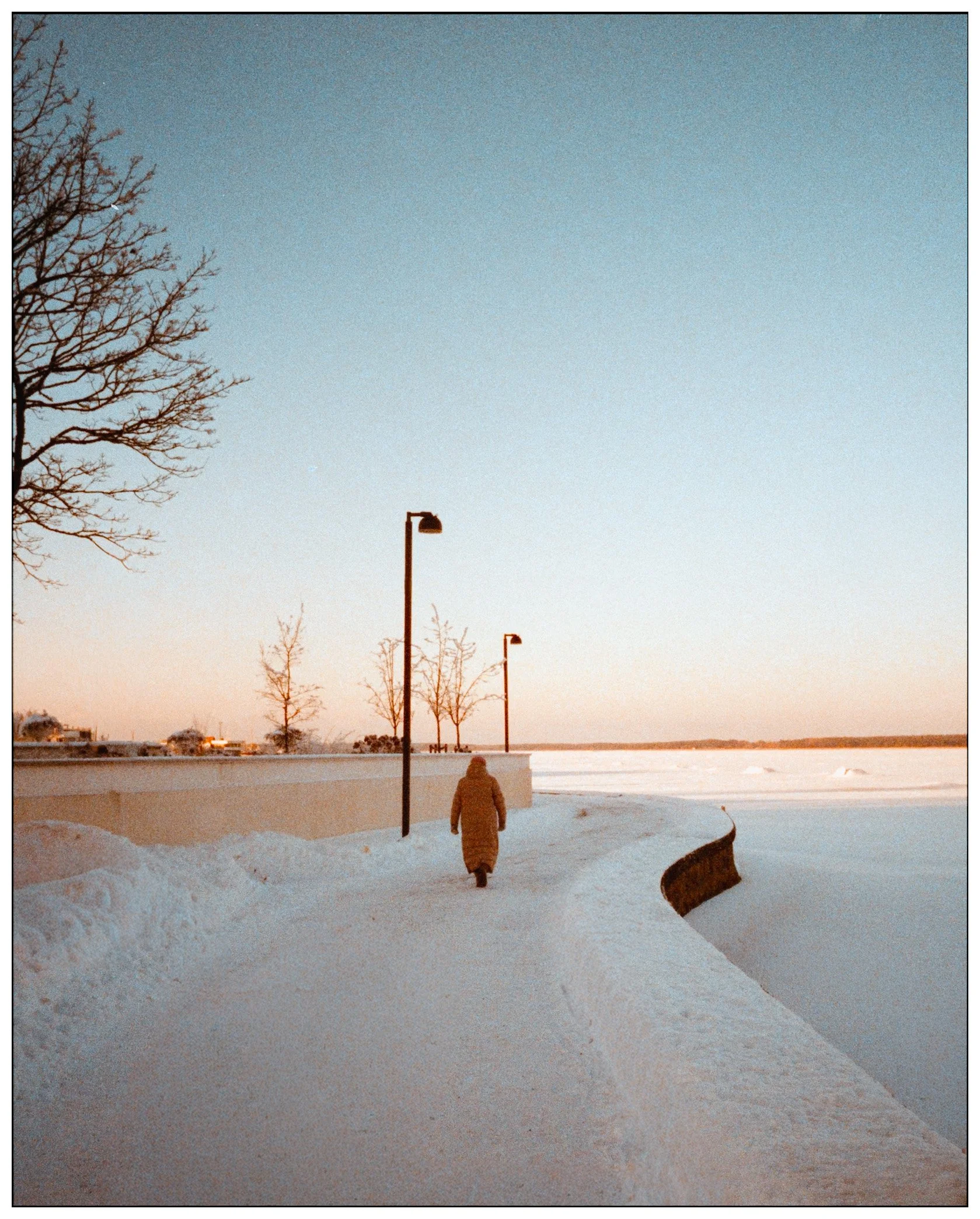 First Roll Review- Pentax 17 Film Camera-11.jpeg