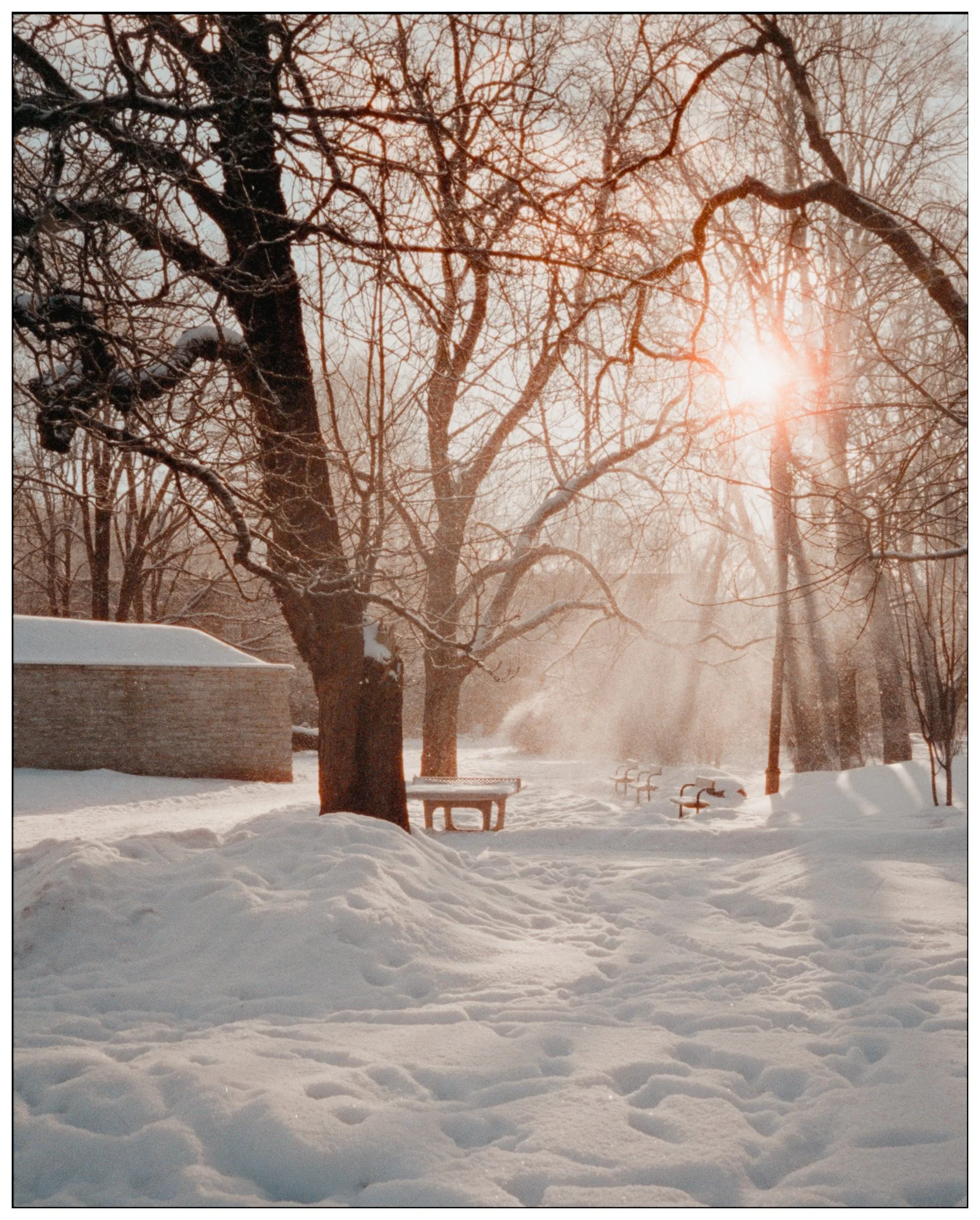 First Roll Review- Pentax 17 Film Camera-1.jpeg