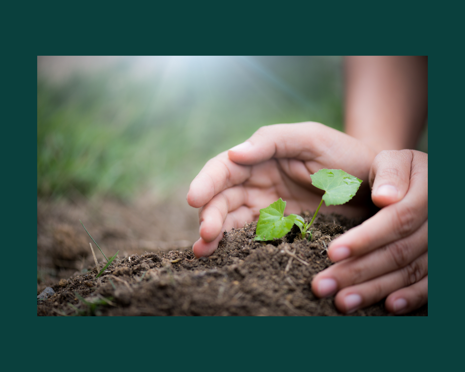 The Career Move Earth Day is Asking you to Make