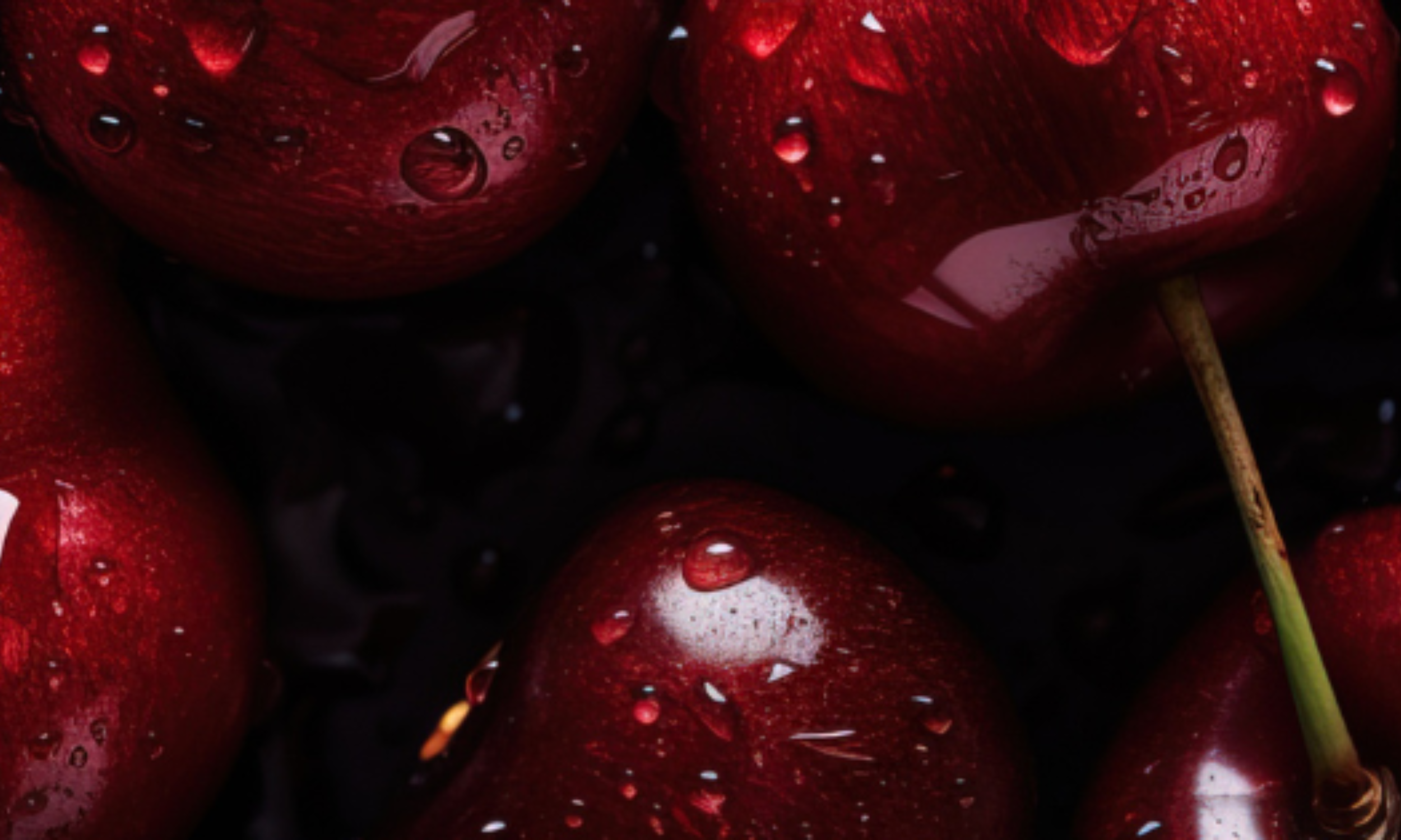 Morello cherry brand motif banner — Morello Marketing boutique creative studio