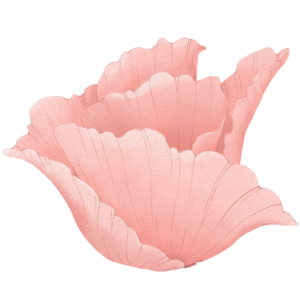 Close-up of pink flowers with ruffled petals.